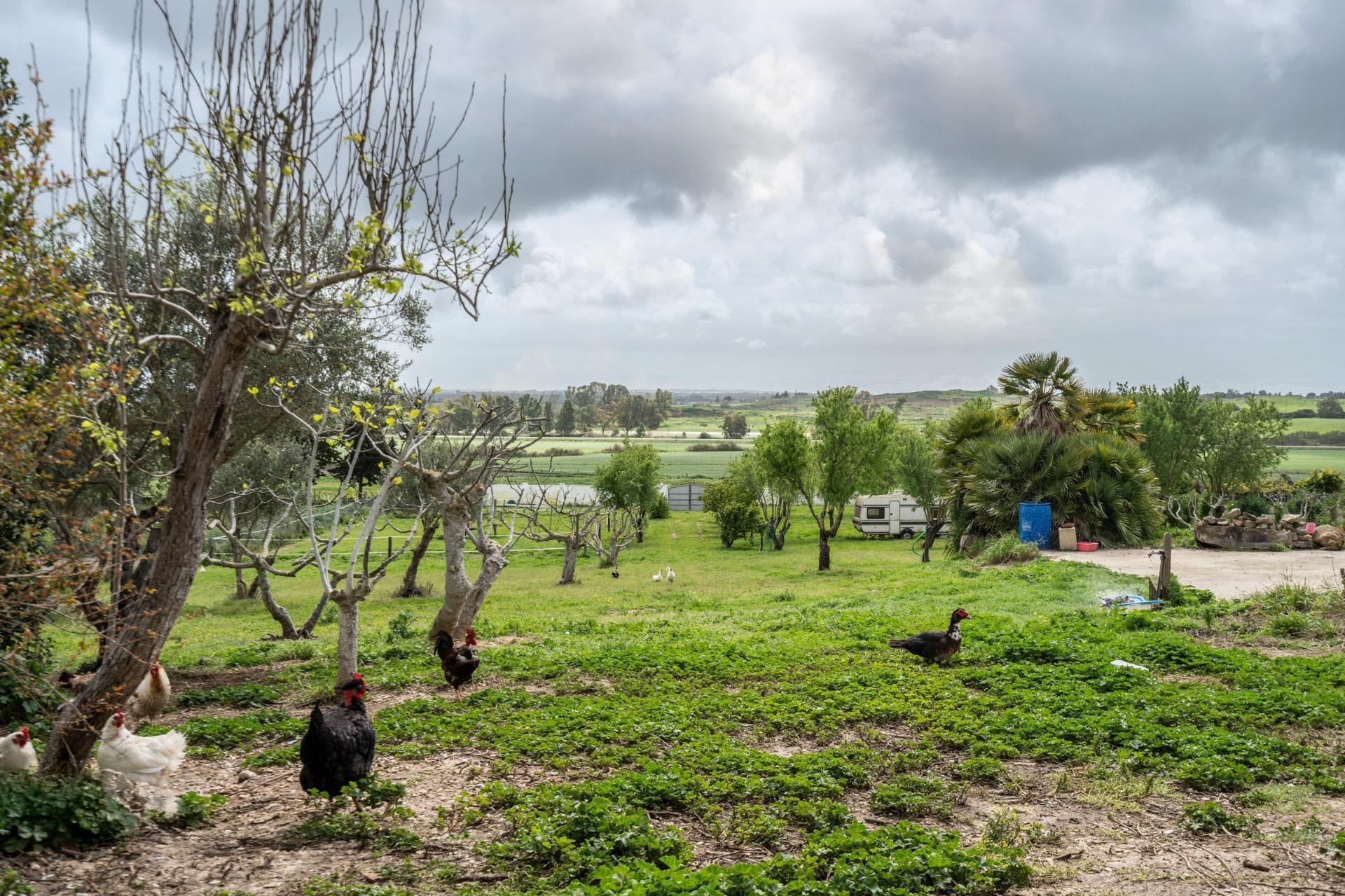 Casas o chalets-Venta-Chiclana de la Frontera-1684801-Foto-91