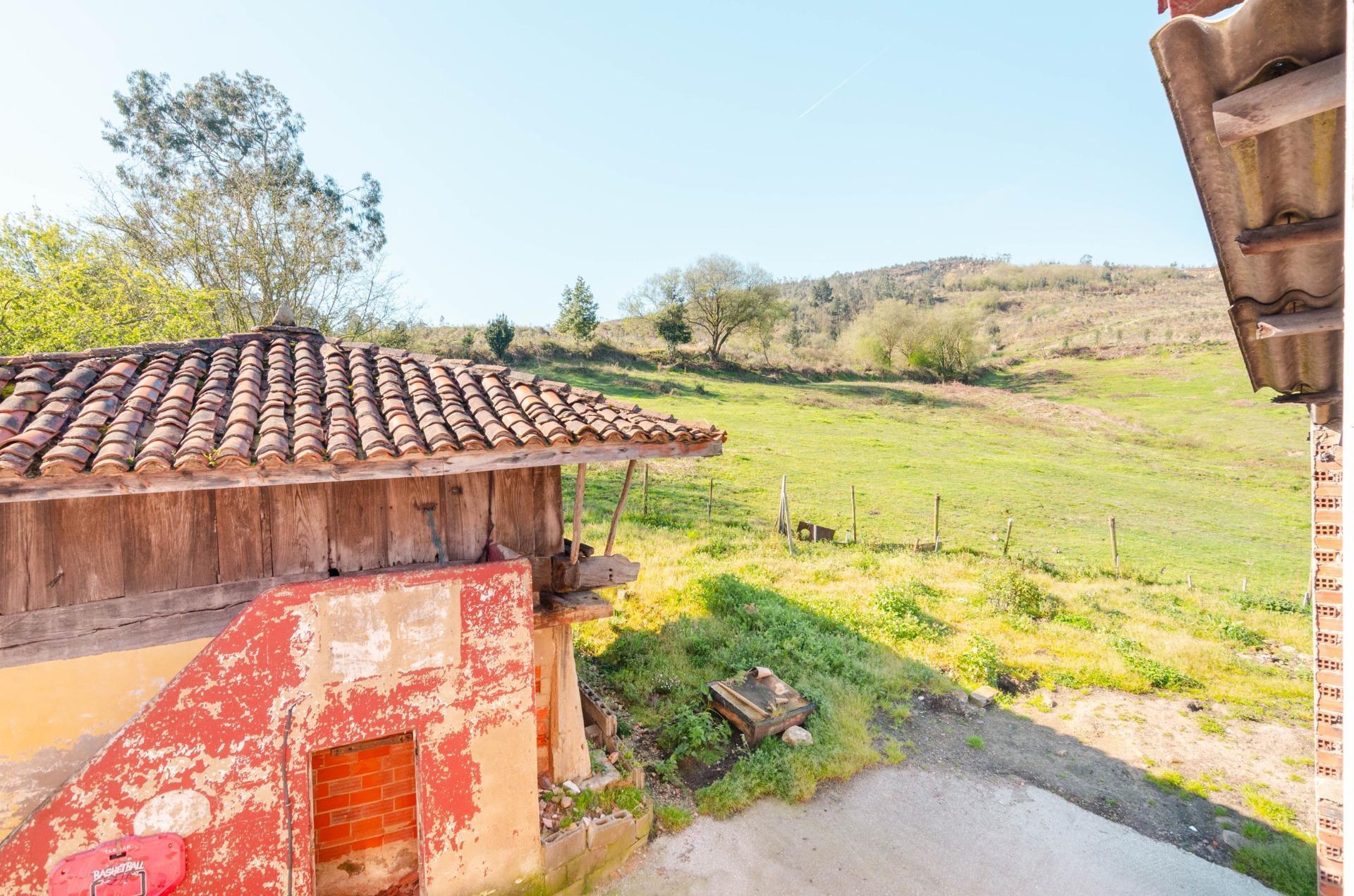 Casas o chalets-Venta-Llanera-2200723-Foto-22