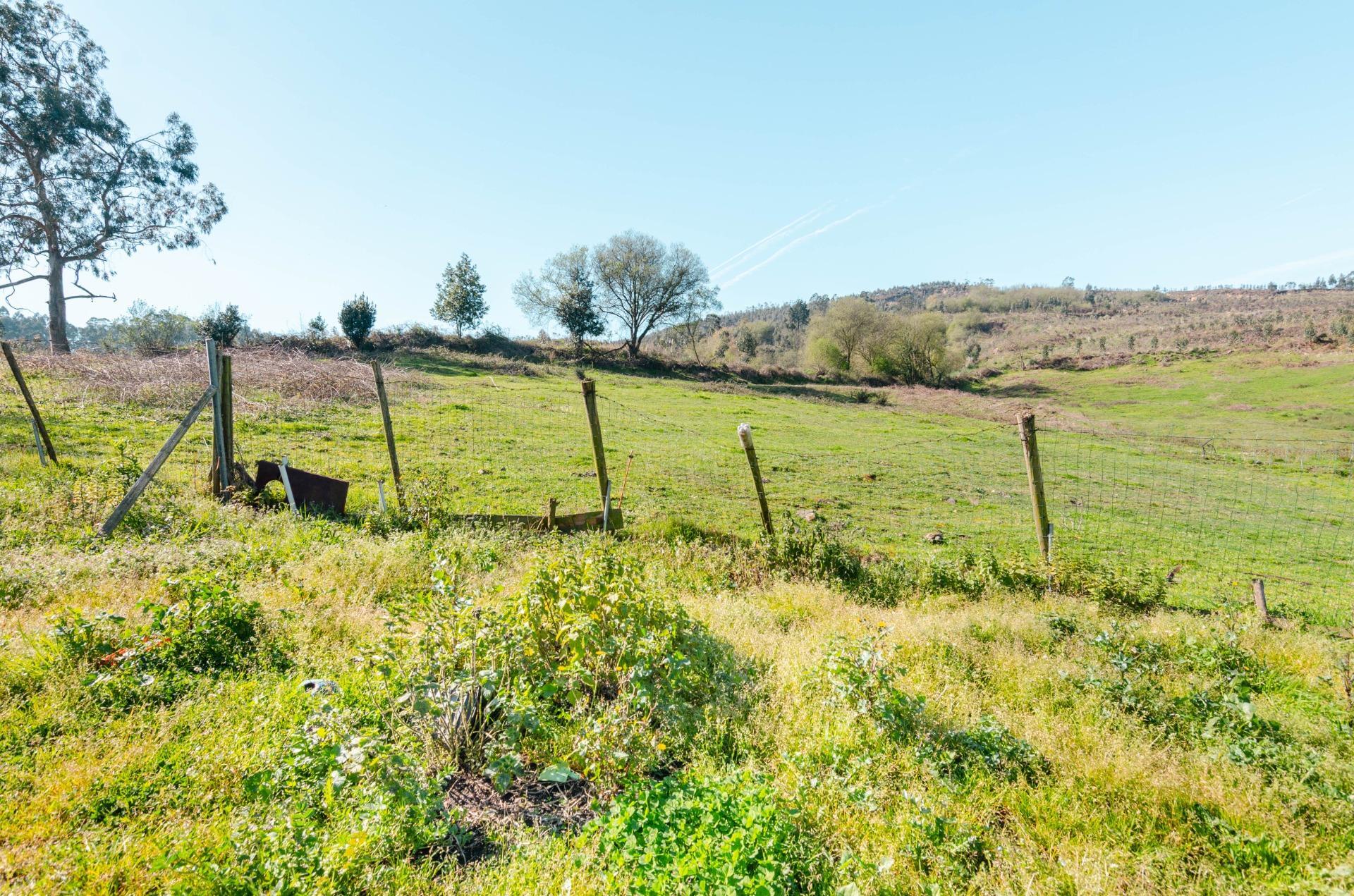 Casas o chalets-Venta-Llanera-2200723-Foto-25