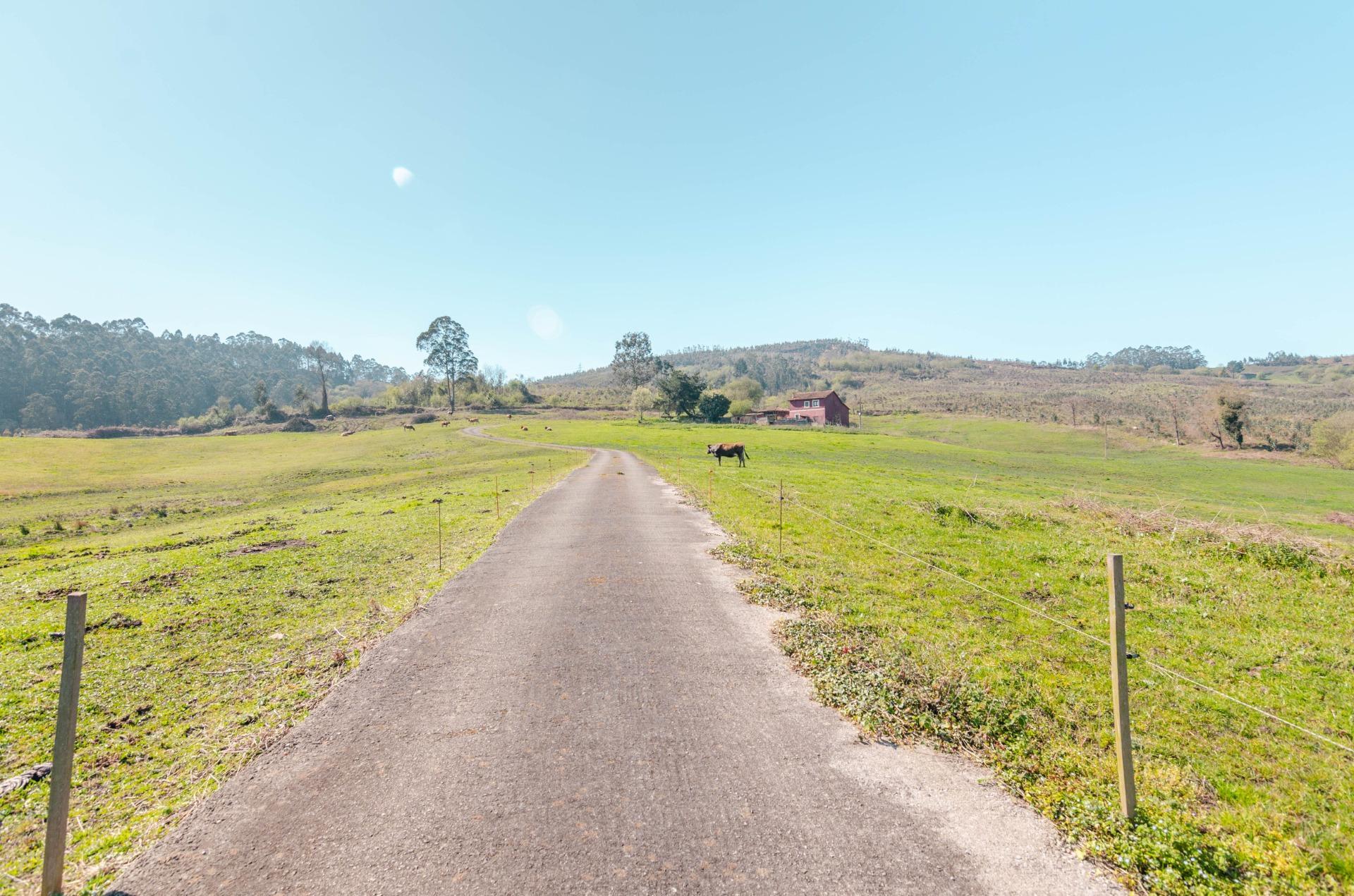 Casas o chalets-Venta-Llanera-2200723-Foto-27