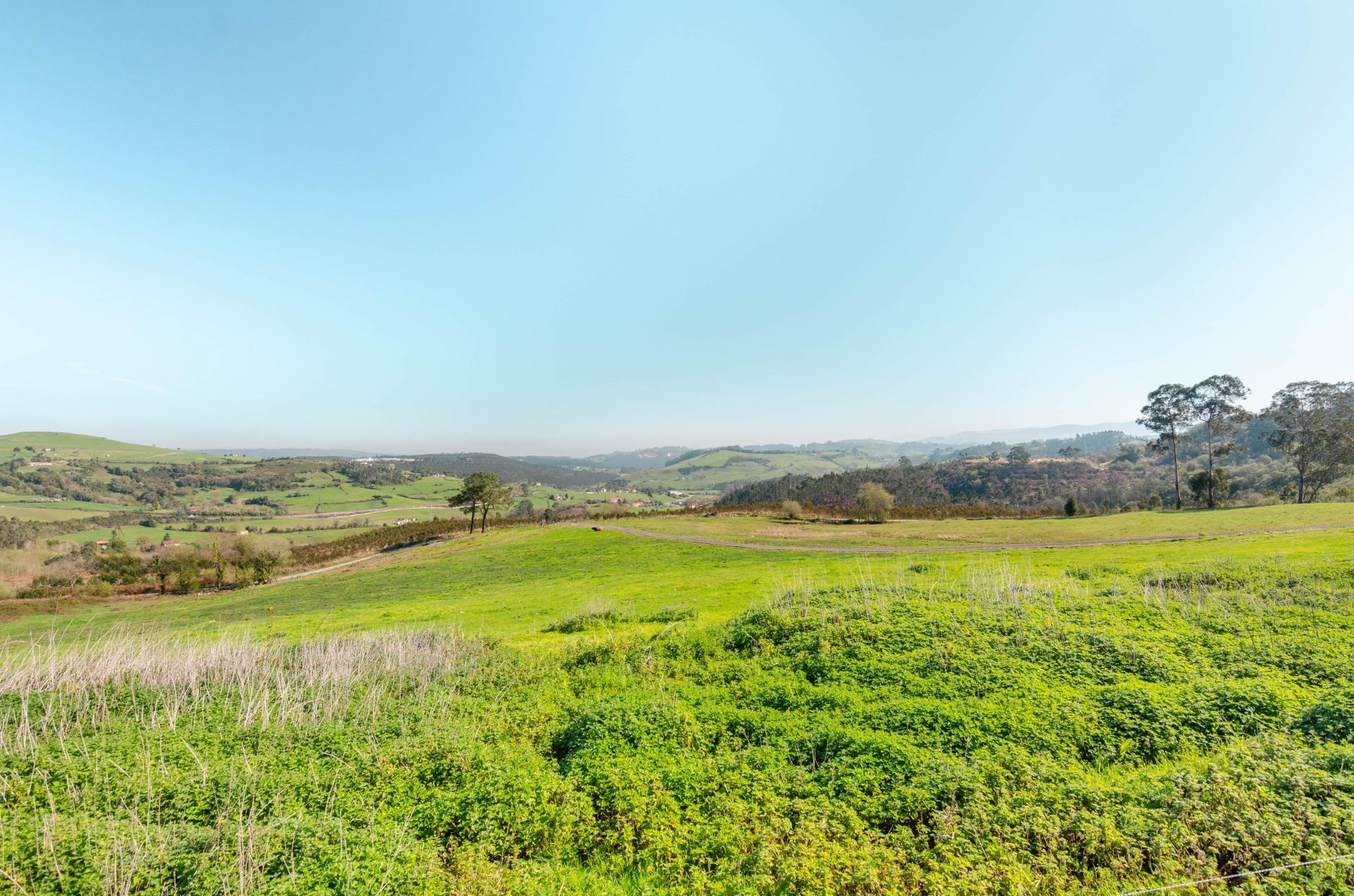 Casas o chalets-Venta-Llanera-2200723-Foto-31