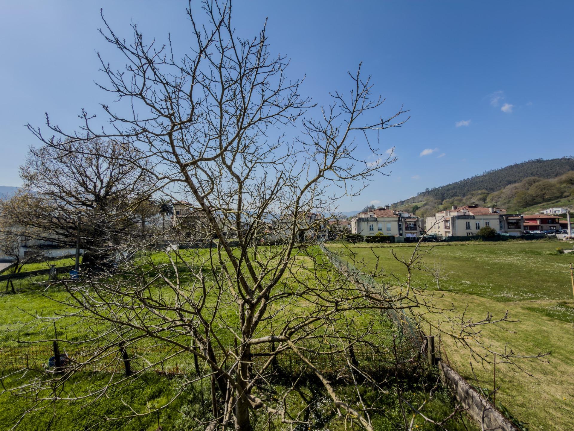 Casas o chalets-Venta-CastaÃ±eda-2200735-Foto-24