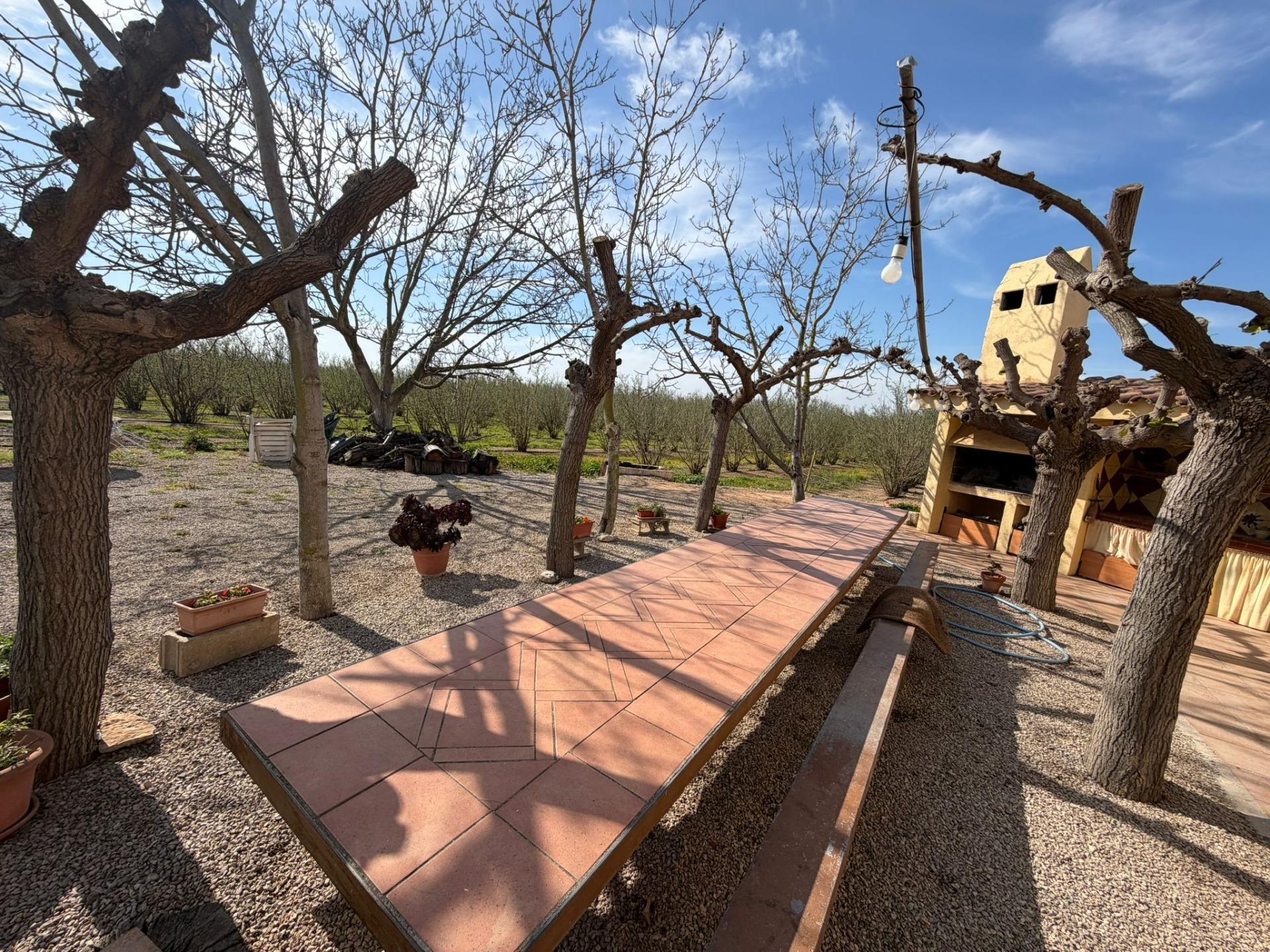 Pisos-Venta-La Selva del Camp-2201251-Foto-13