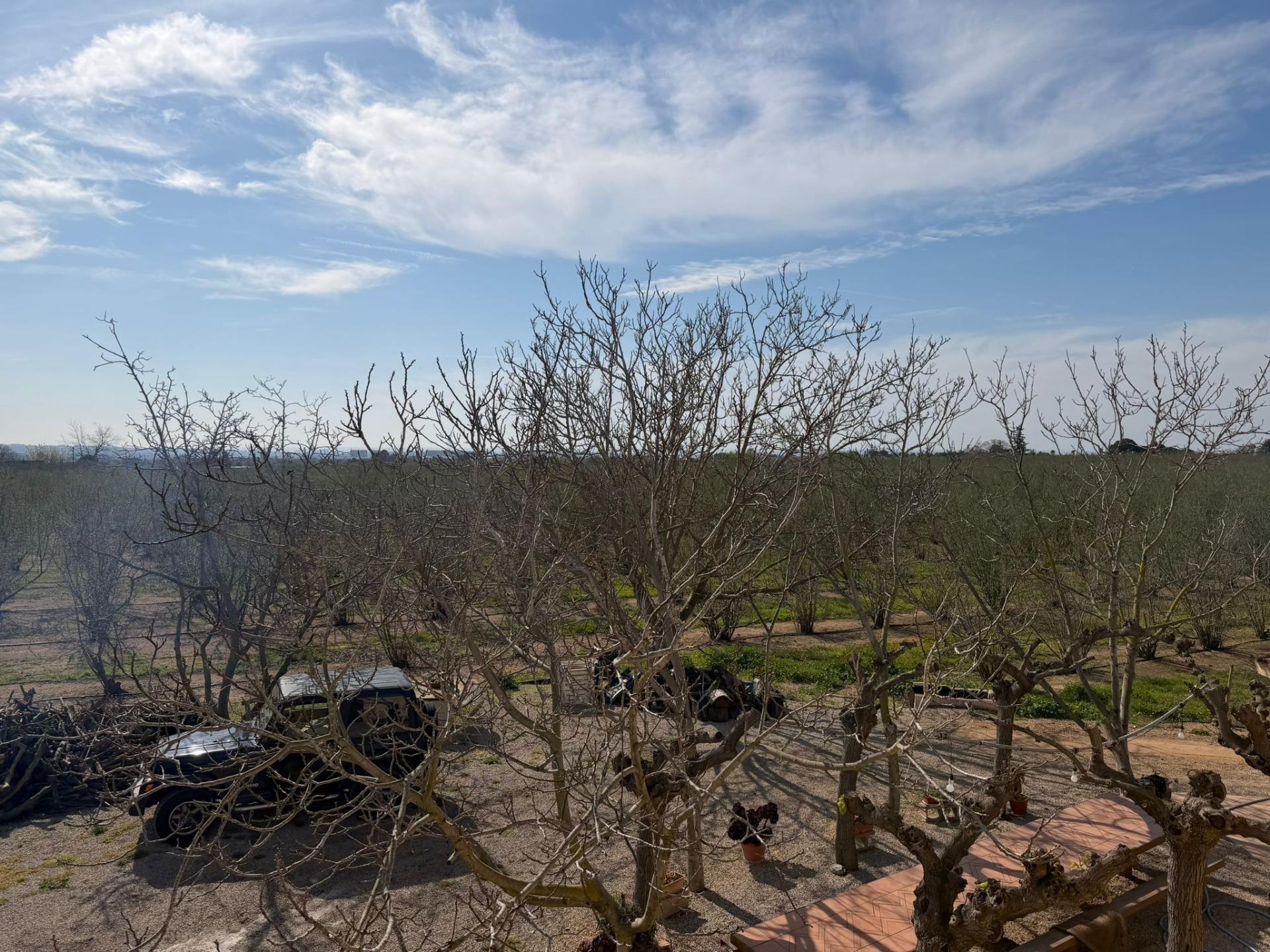 Pisos-Venta-La Selva del Camp-2201251-Foto-19