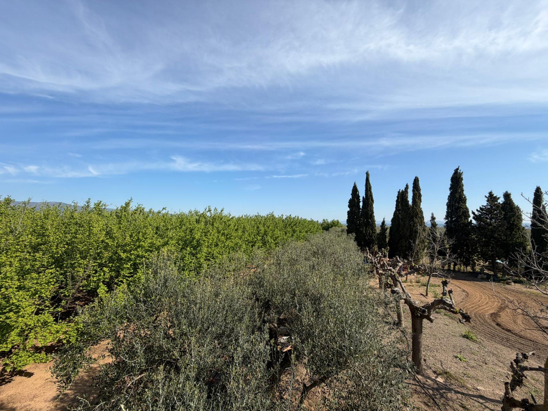 Pisos-Venta-La Selva del Camp-2201251-Foto-21