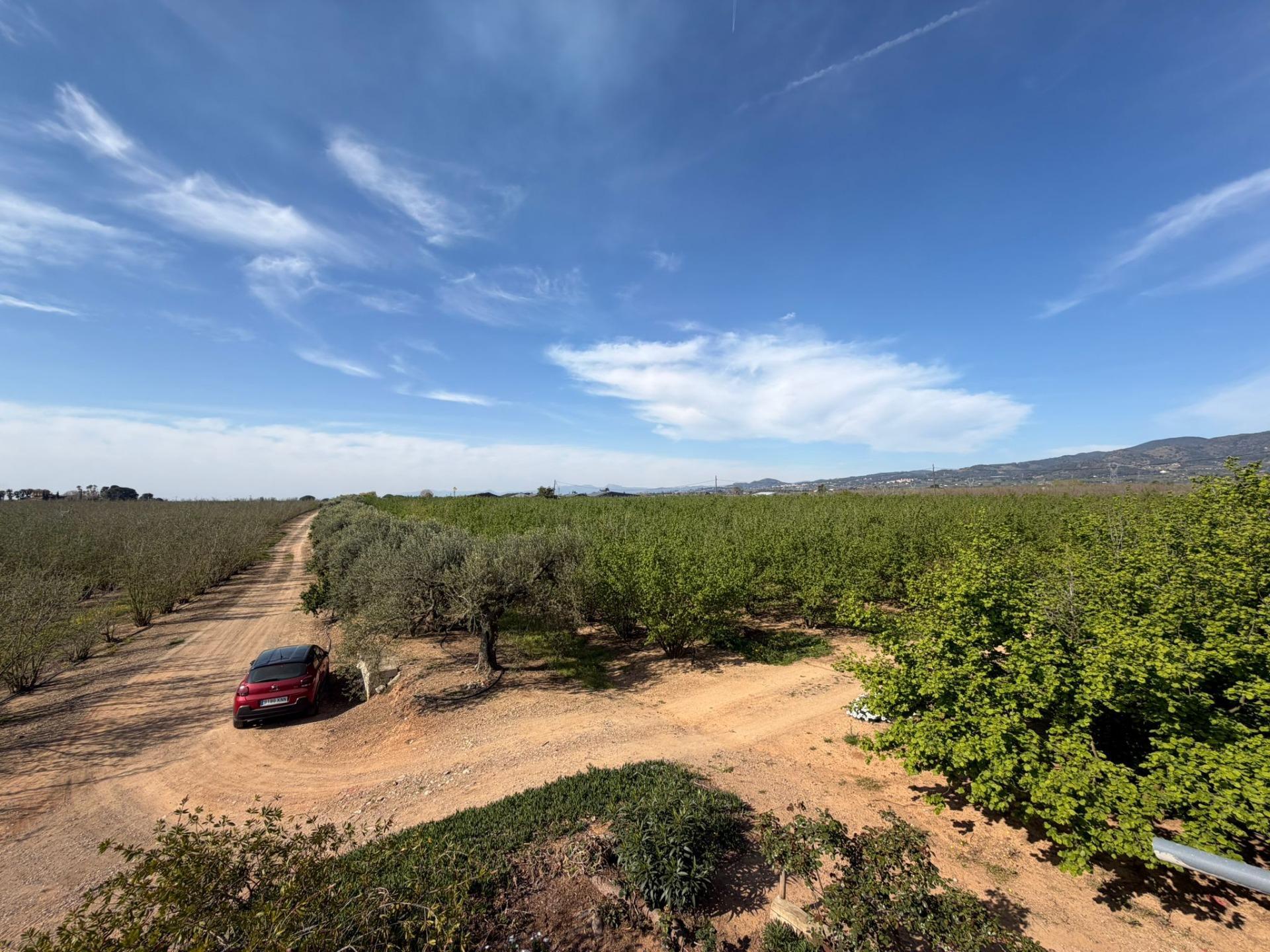 Pisos-Venta-La Selva del Camp-2201251-Foto-23