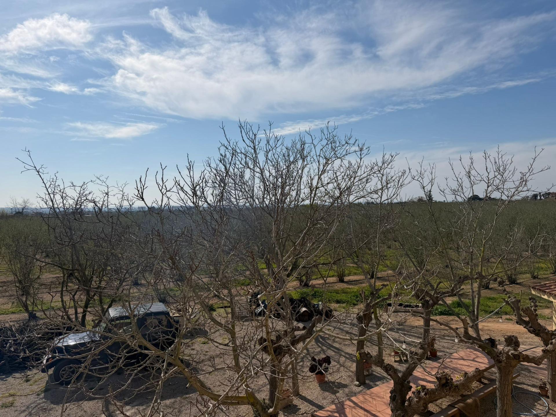 Pisos-Venta-La Selva del Camp-2201251-Foto-24