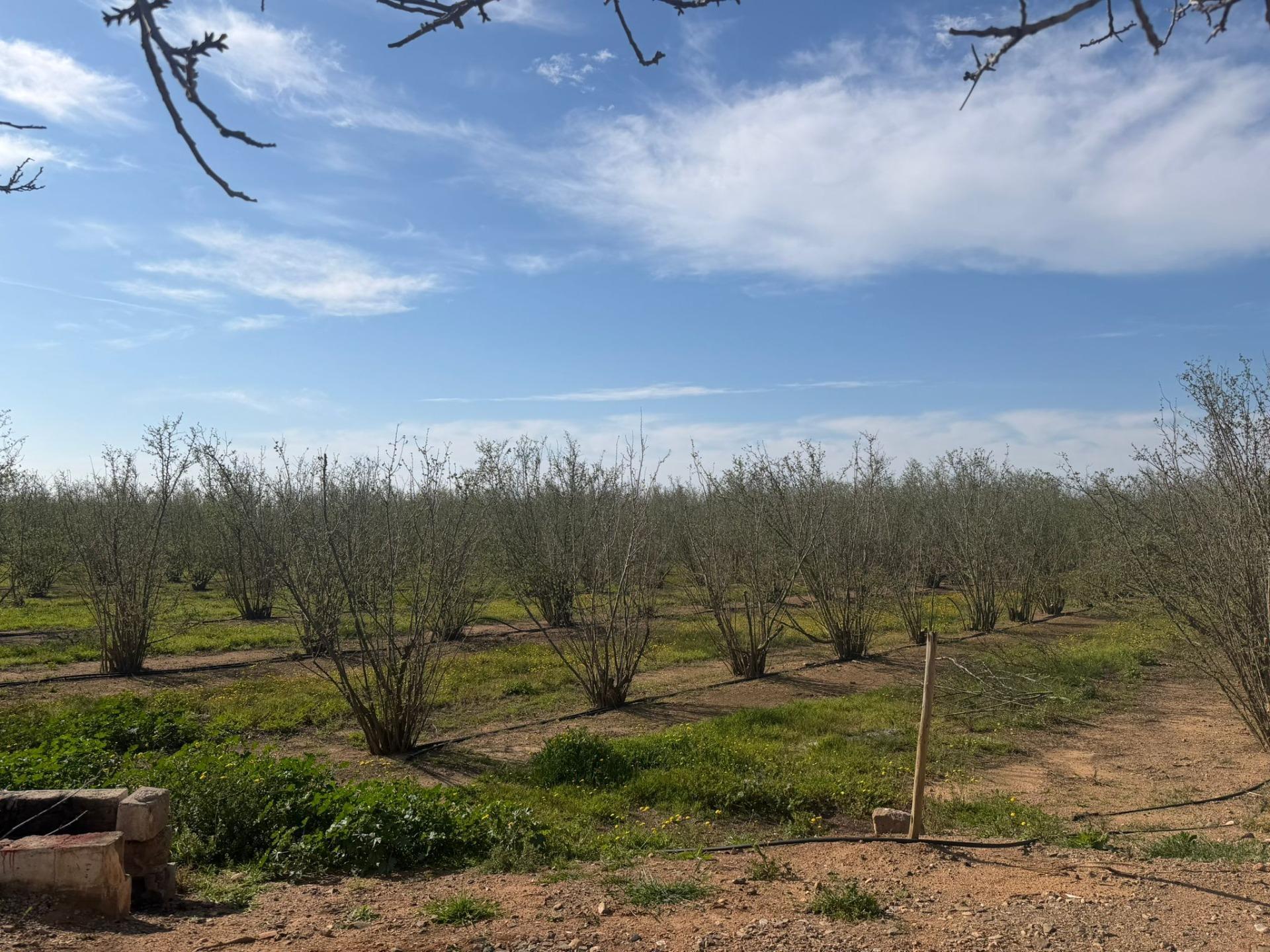 Pisos-Venta-La Selva del Camp-2201251-Foto-30