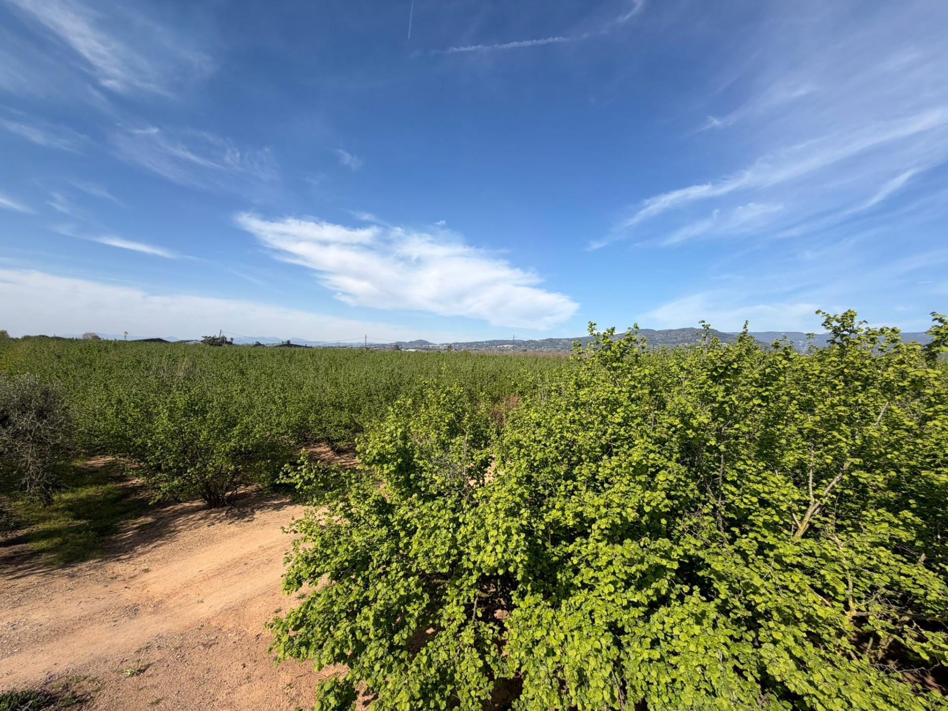 Pisos-Venta-La Selva del Camp-2201251-Foto-31