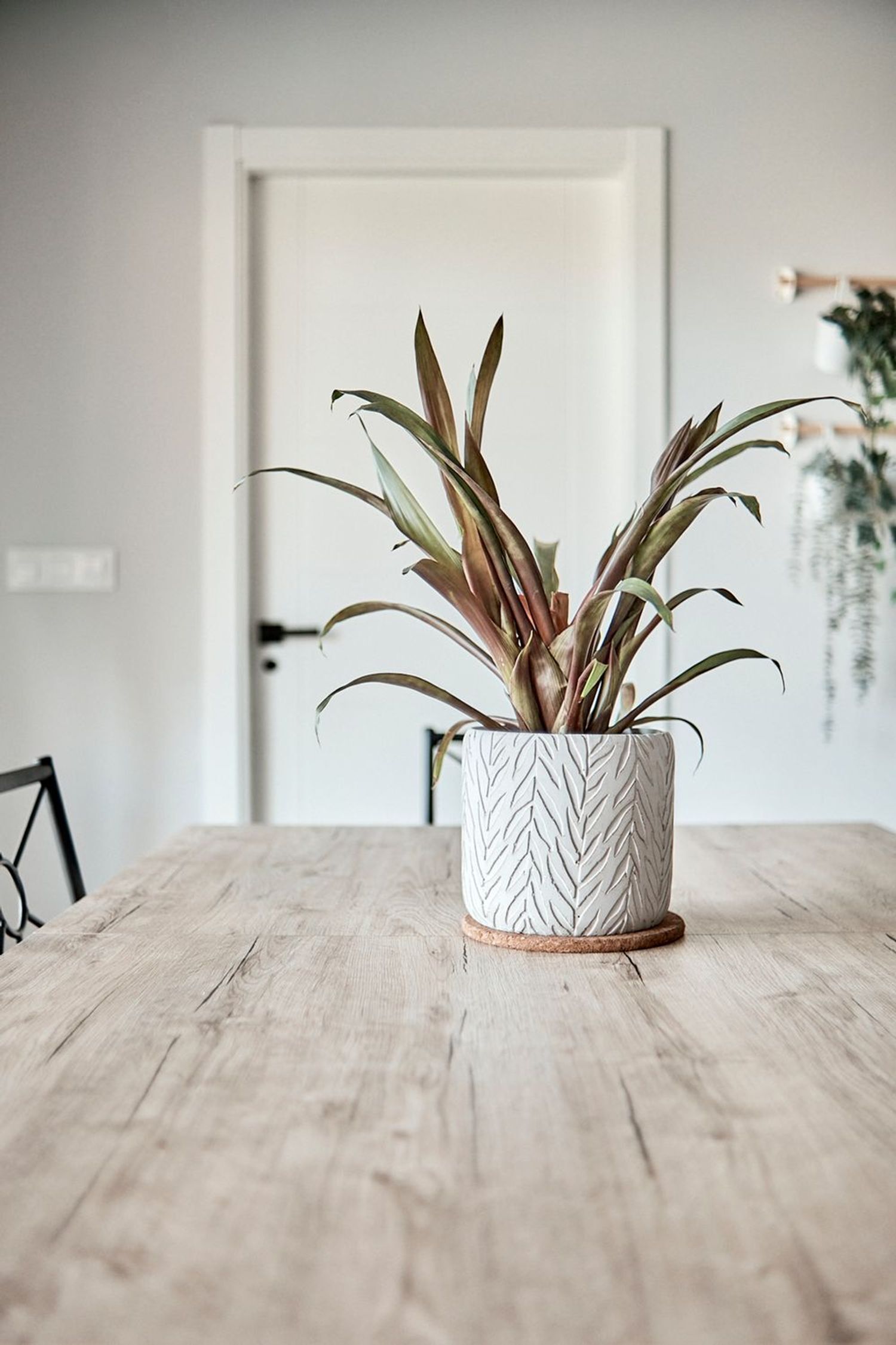 Casas o chalets-Venta-Bergondo-2201257-Foto-30