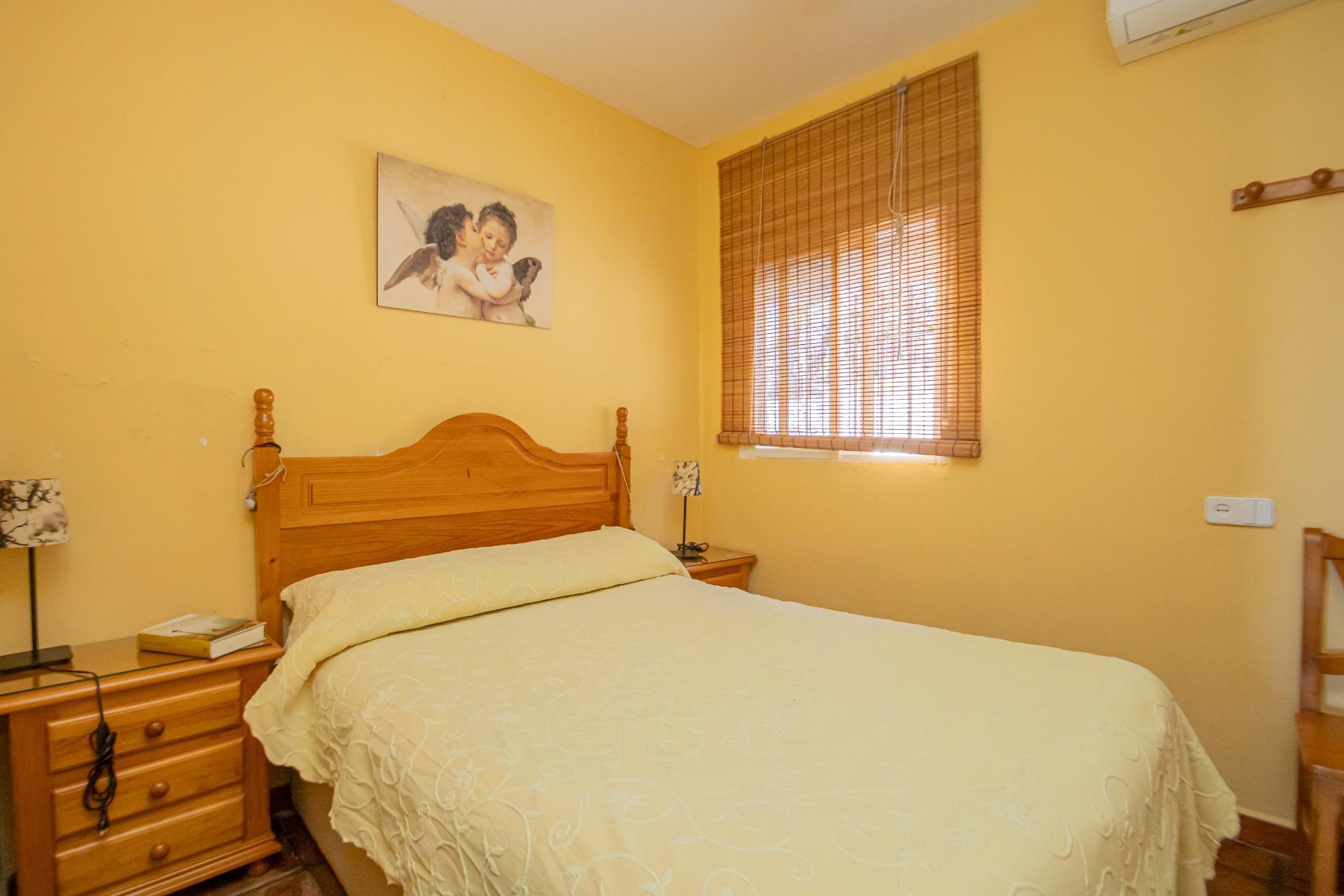 Fincas y solares-Venta-El Pedroso-1724744-Foto-11