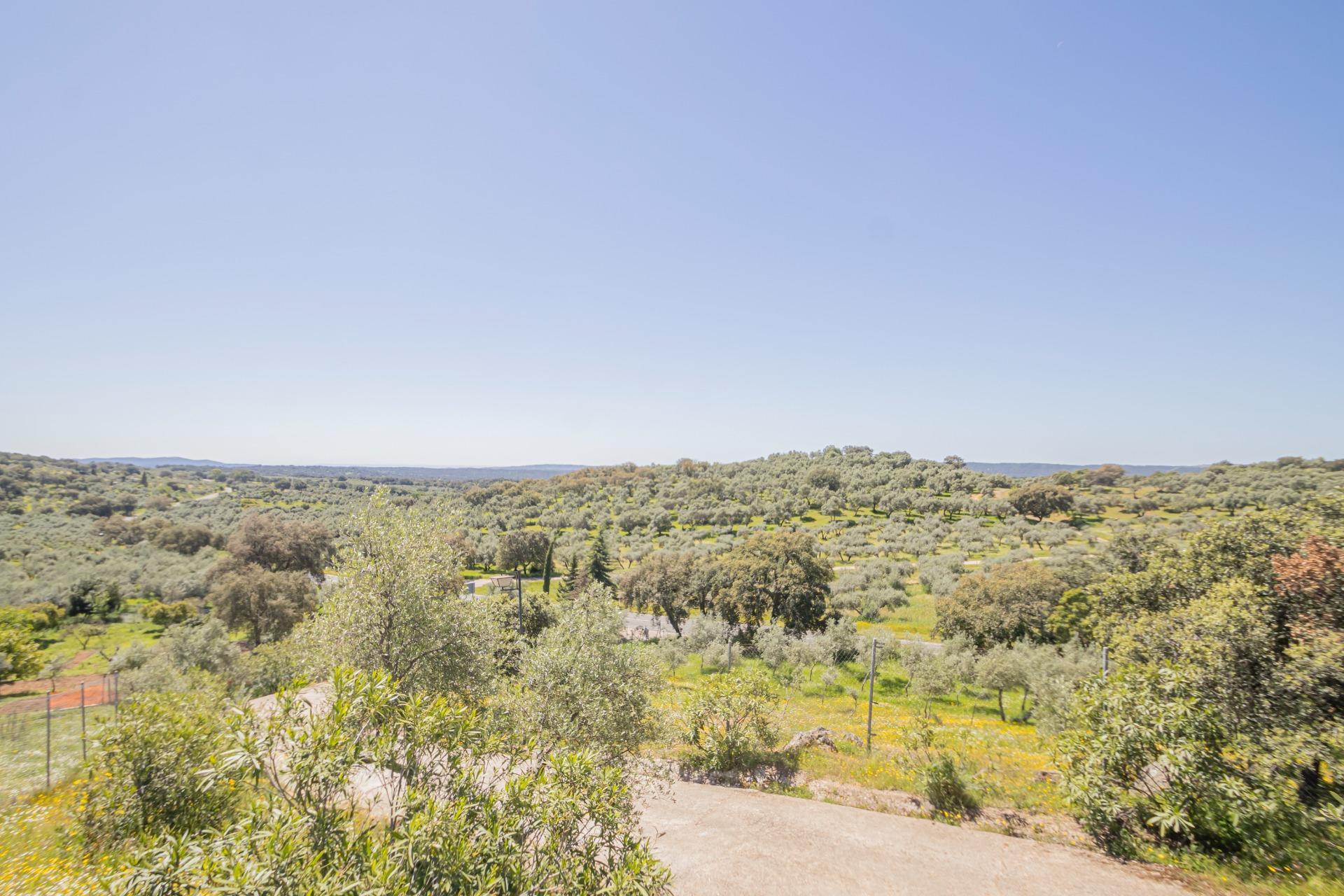 Fincas y solares-Venta-El Pedroso-1724744-Foto-27