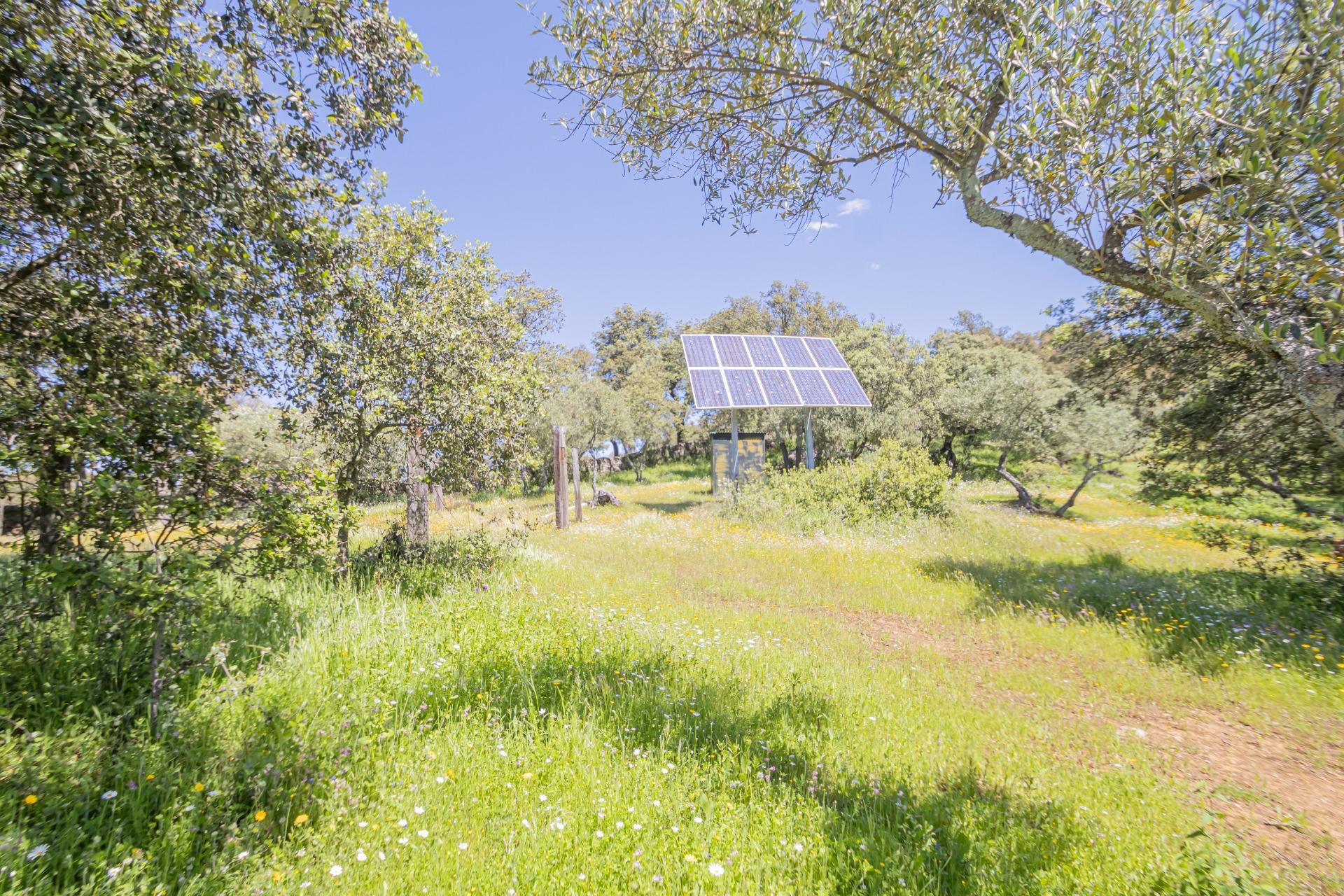 Fincas y solares-Venta-El Pedroso-1724744-Foto-36