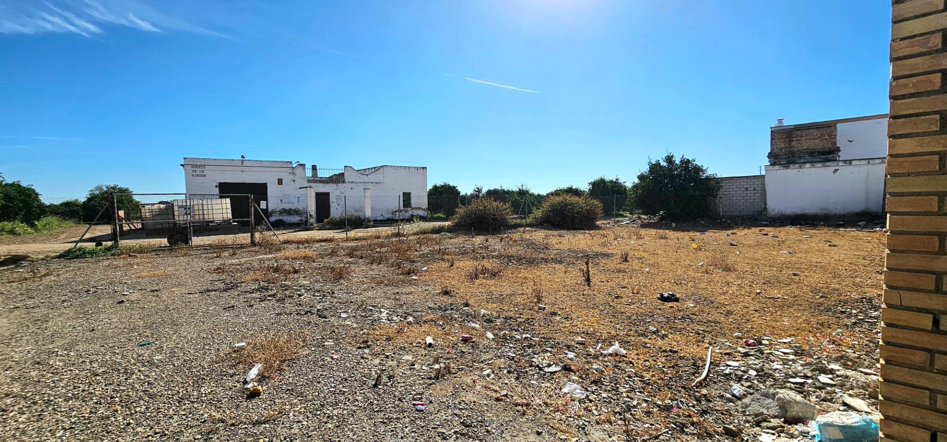 Fincas y solares-Venta-La Algaba-1976673-Foto-4