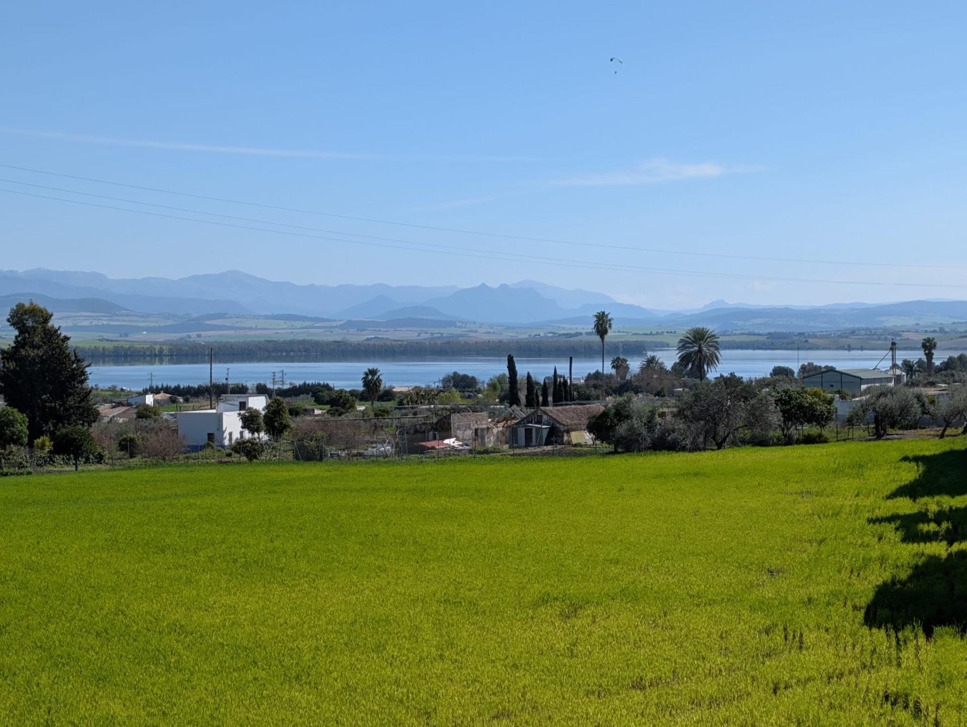 Casas o chalets-Venta-Bornos-2114522-Foto-5