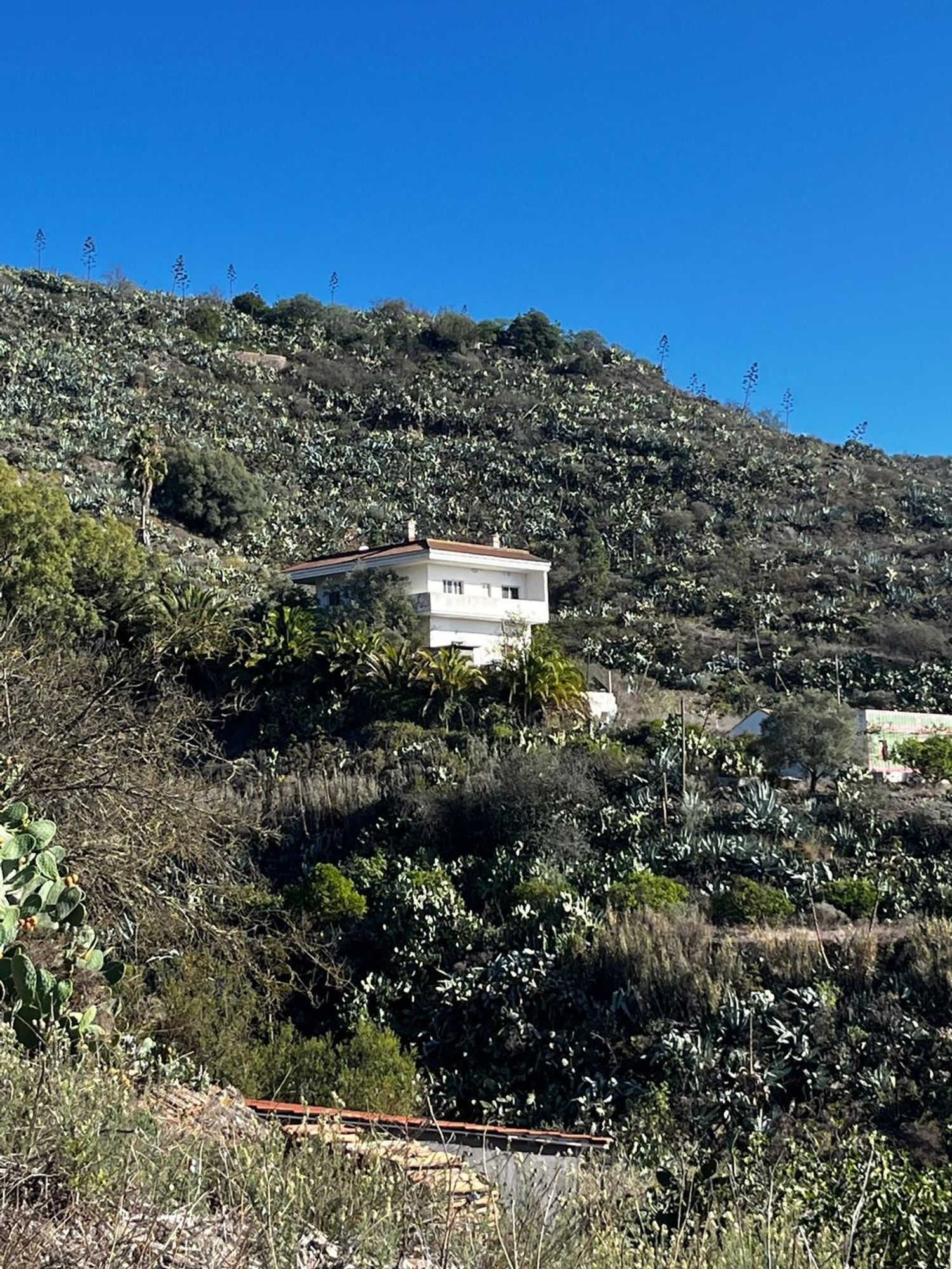 Casas o chalets-Venta-Santa Brígida-2201278