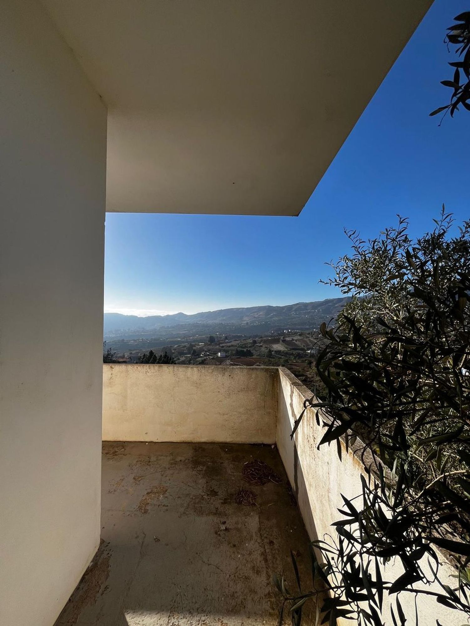 Casas o chalets-Venta-Santa BrÃ­gida-2201278-Foto-4