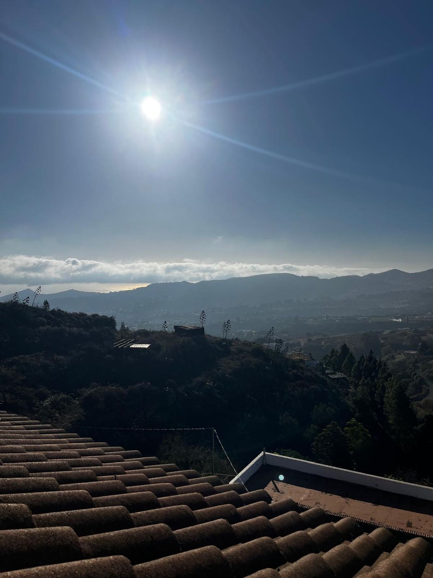 Casas o chalets-Venta-Santa BrÃ­gida-2201278-Foto-11