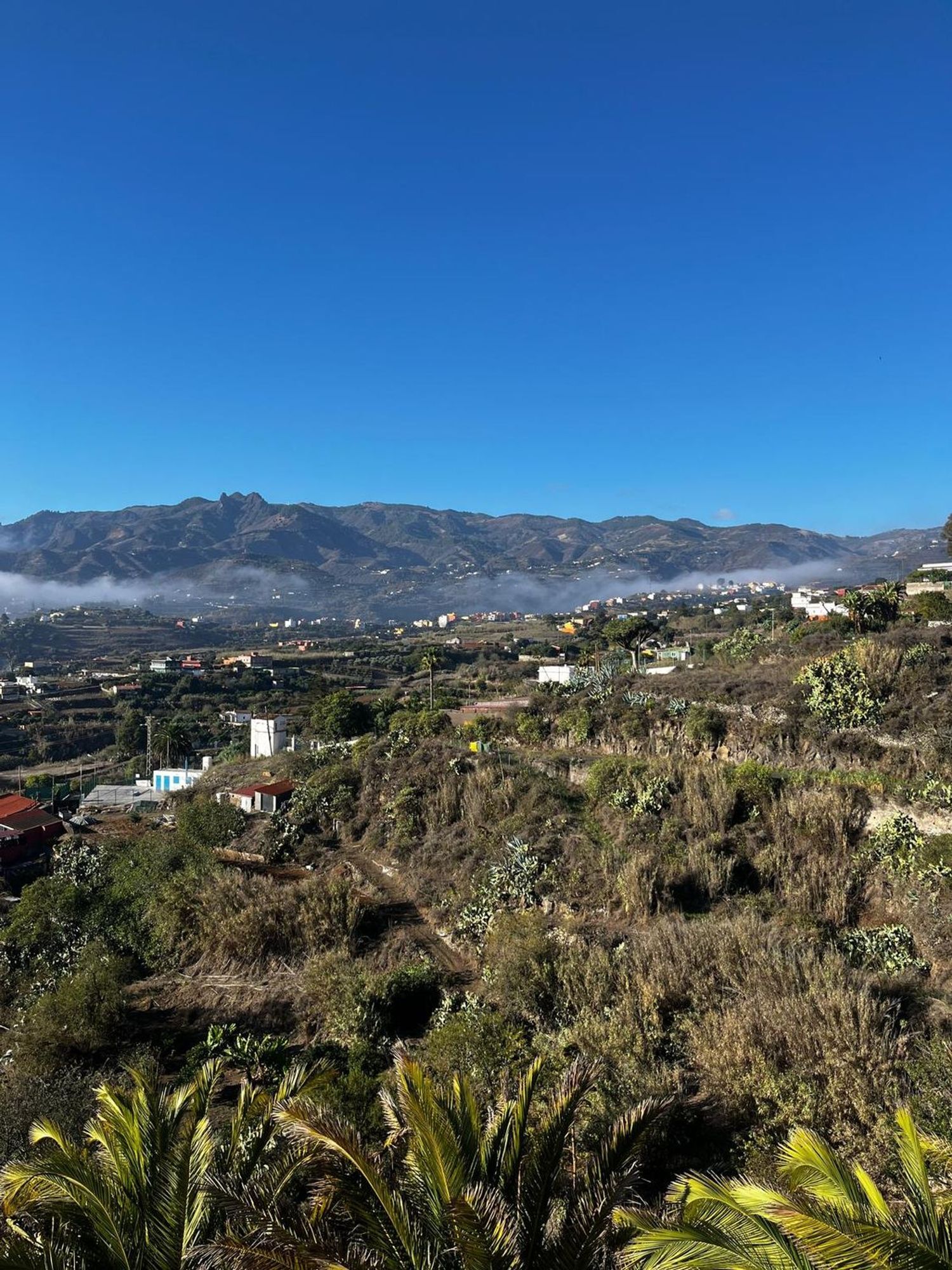 Casas o chalets-Venta-Santa BrÃ­gida-2201278-Foto-10