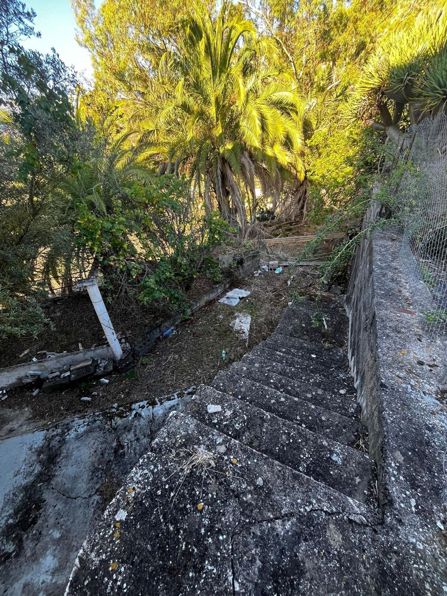 Casas o chalets-Venta-Santa BrÃ­gida-2201278-Foto-25