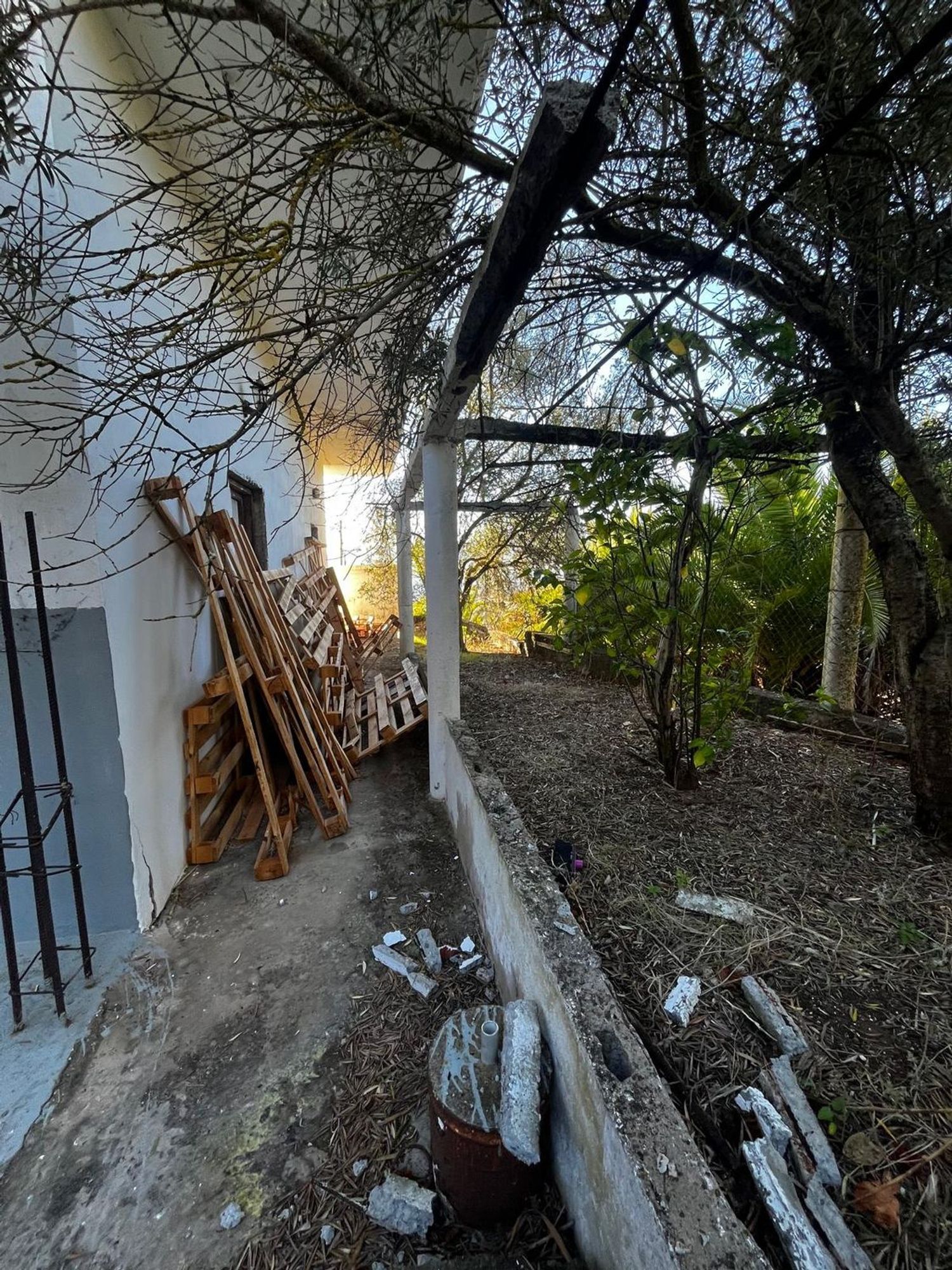 Casas o chalets-Venta-Santa BrÃ­gida-2201278-Foto-27