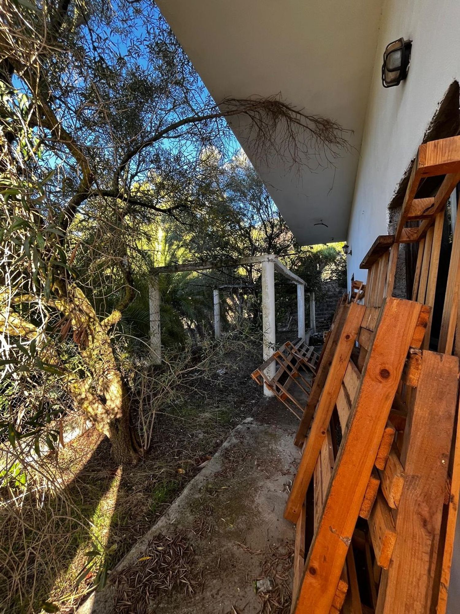 Casas o chalets-Venta-Santa BrÃ­gida-2201278-Foto-29