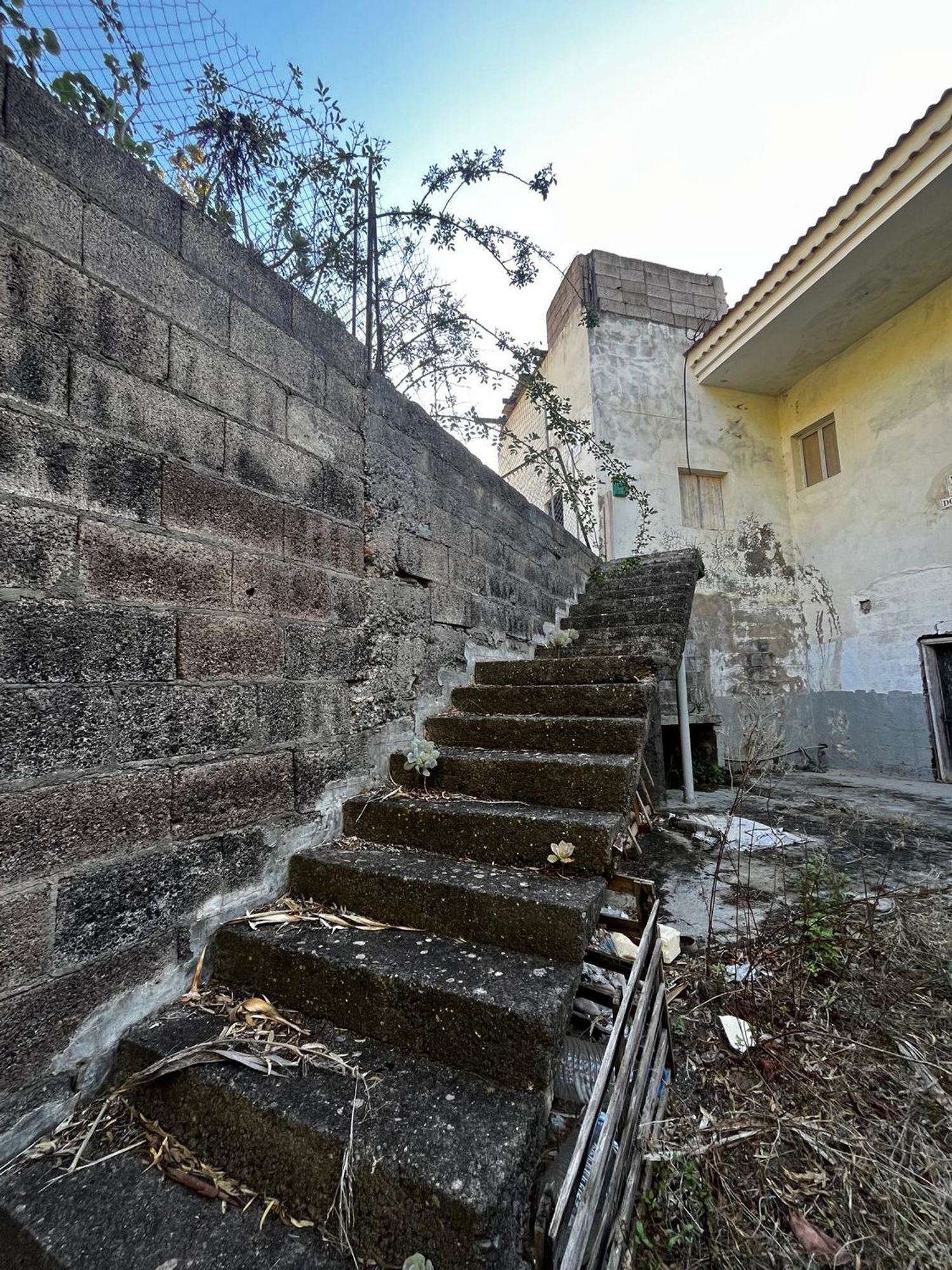 Casas o chalets-Venta-Santa BrÃ­gida-2201278-Foto-26