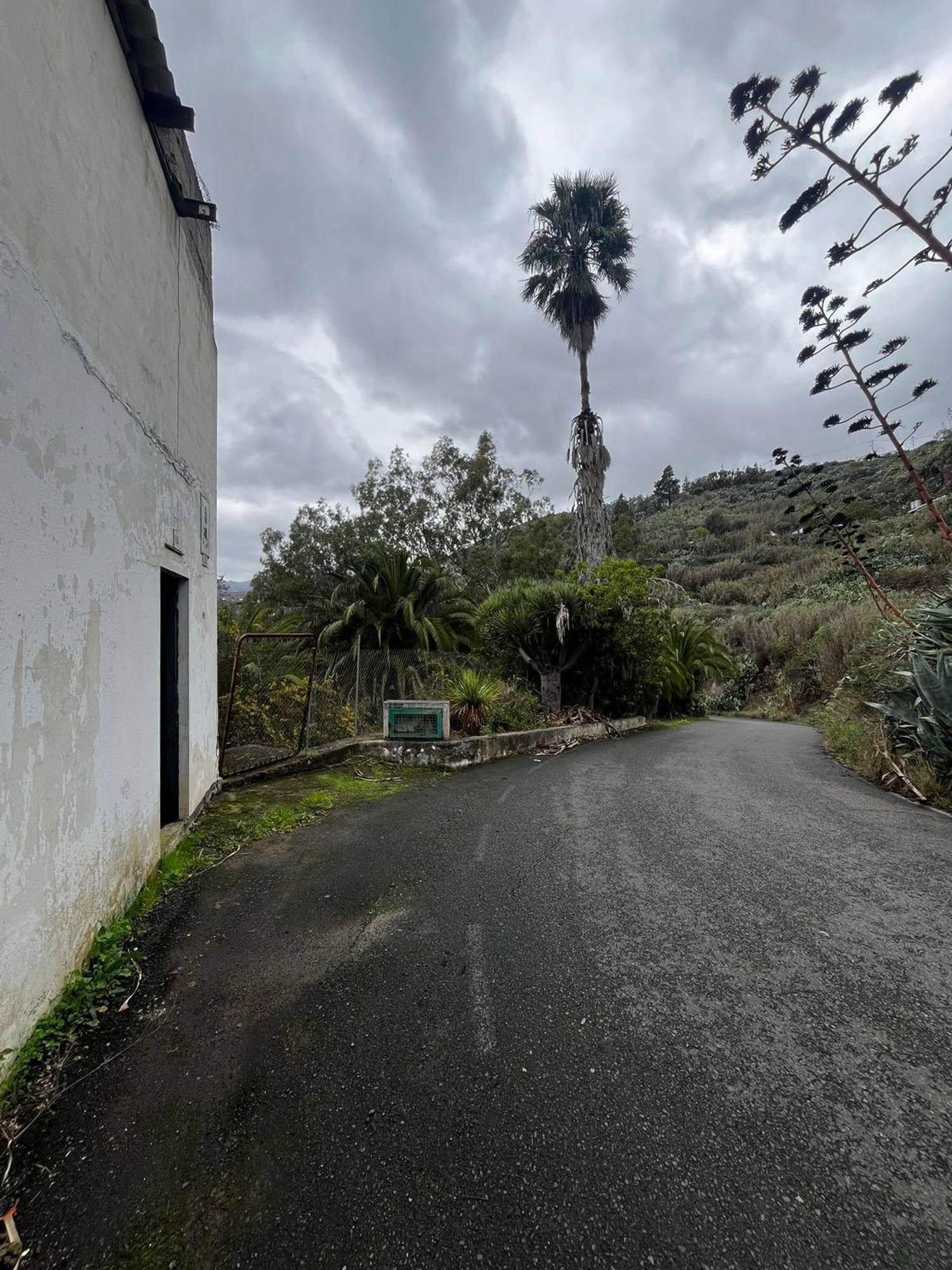 Casas o chalets-Venta-Santa BrÃ­gida-2201278-Foto-33