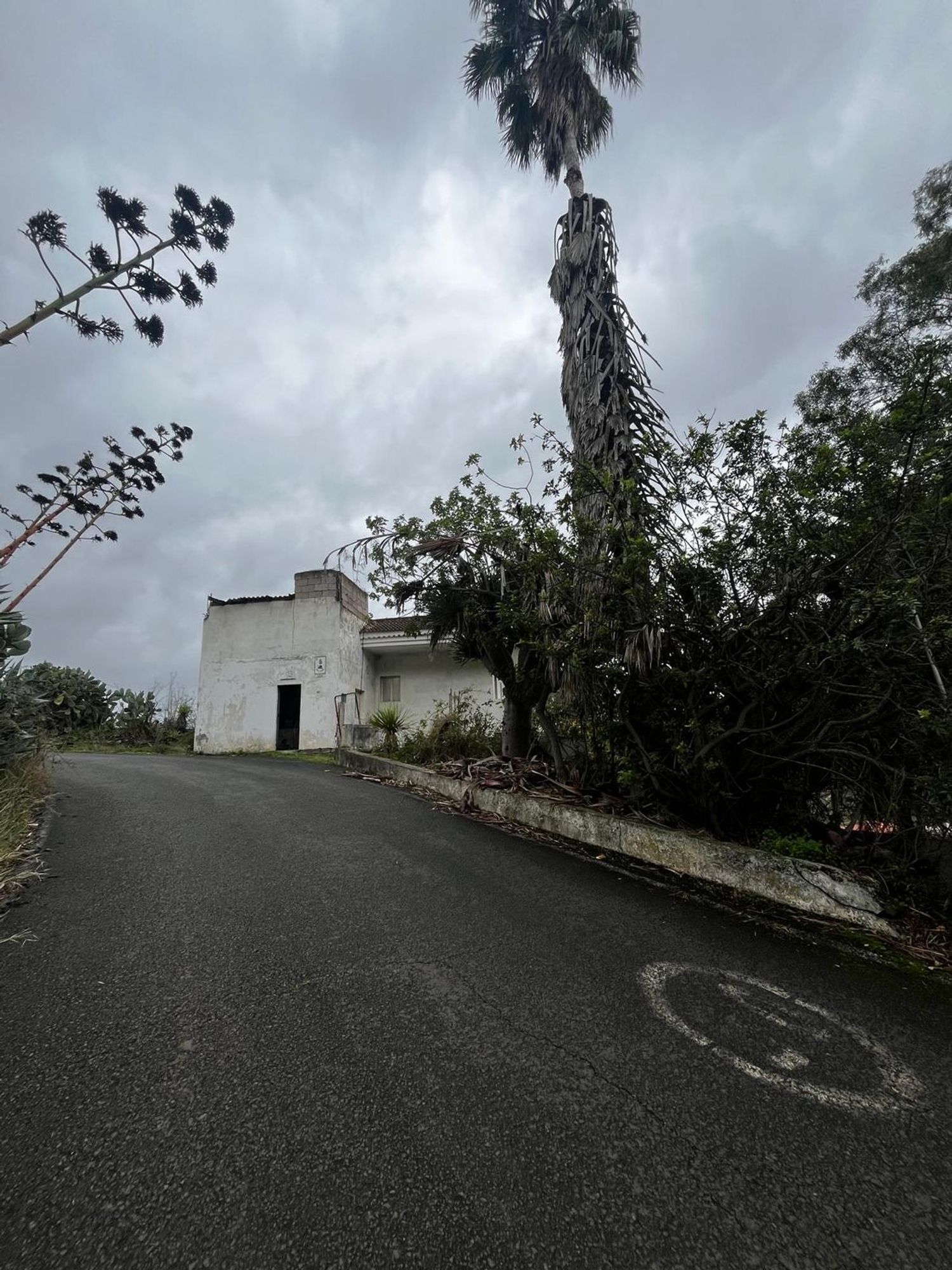 Casas o chalets-Venta-Santa BrÃ­gida-2201278-Foto-34