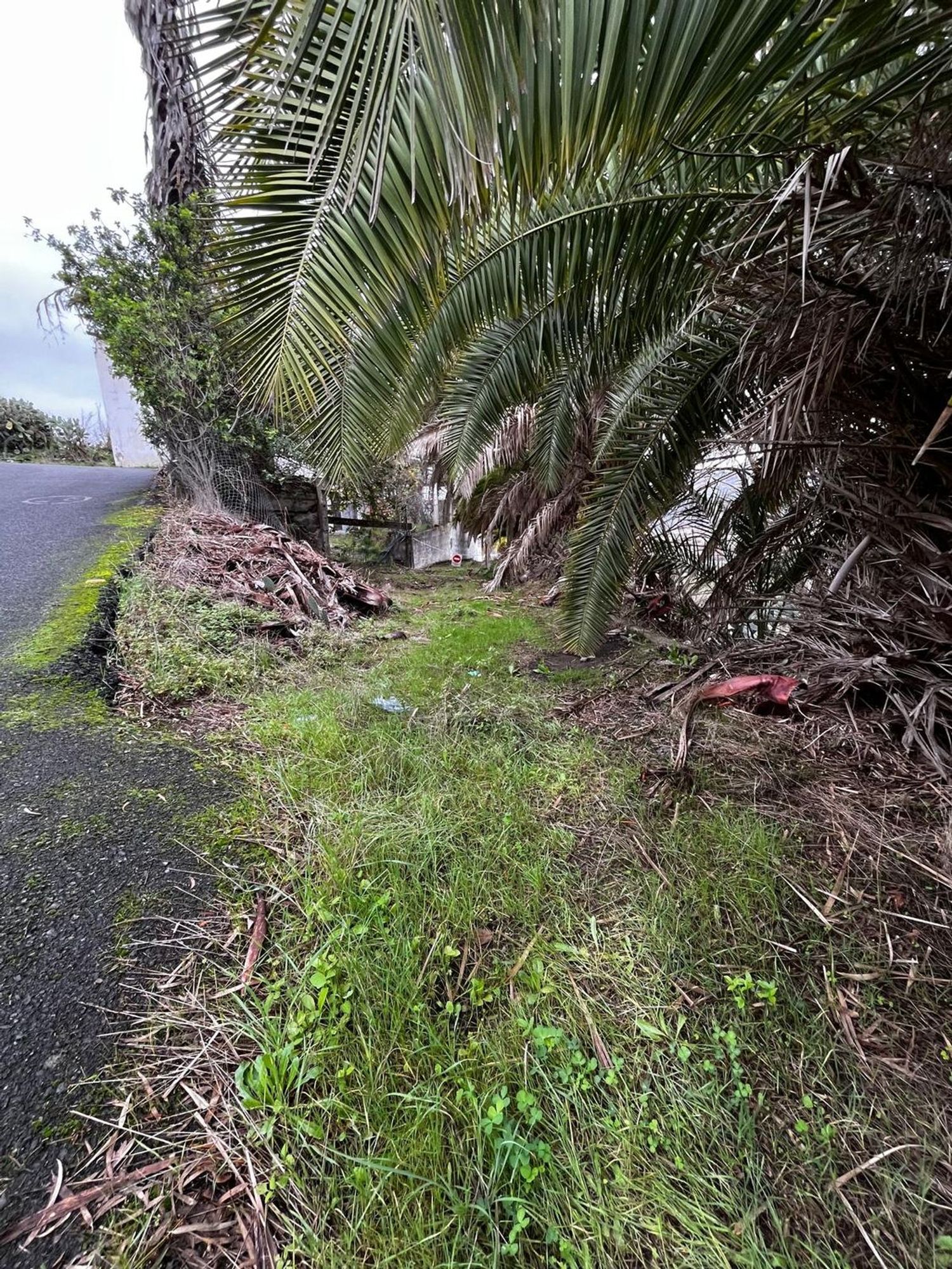 Casas o chalets-Venta-Santa BrÃ­gida-2201278-Foto-36