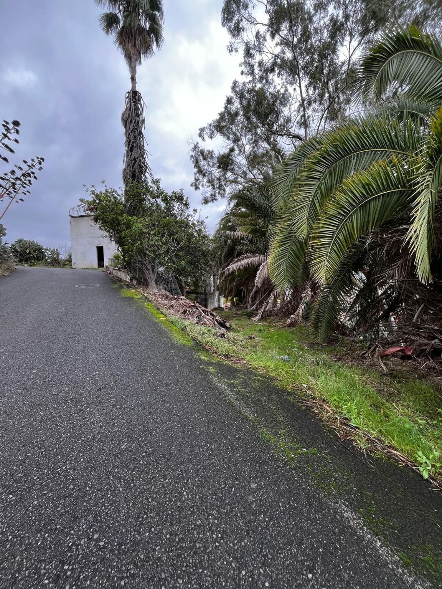 Casas o chalets-Venta-Santa BrÃ­gida-2201278-Foto-37