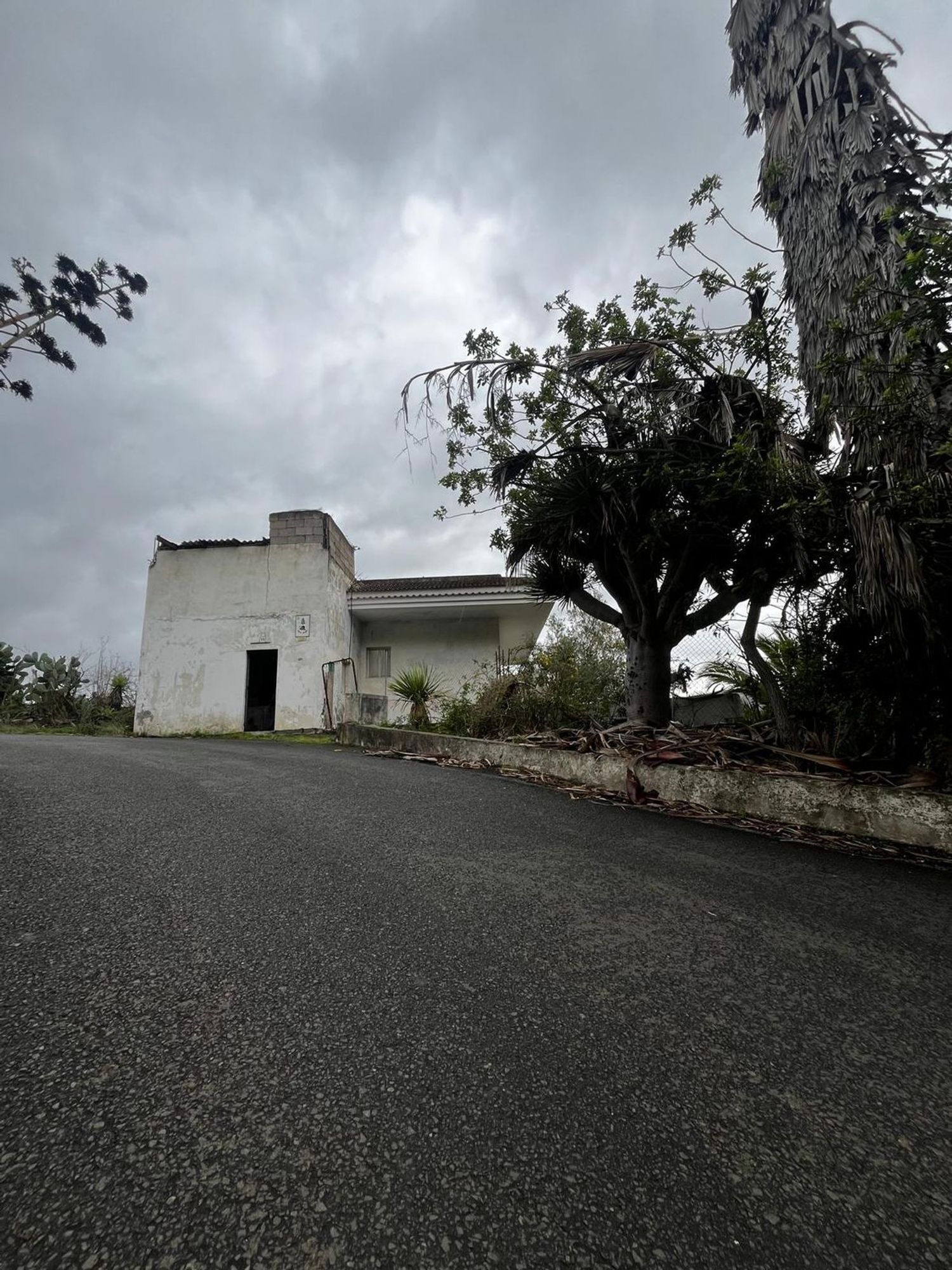 Casas o chalets-Venta-Santa BrÃ­gida-2201278-Foto-35