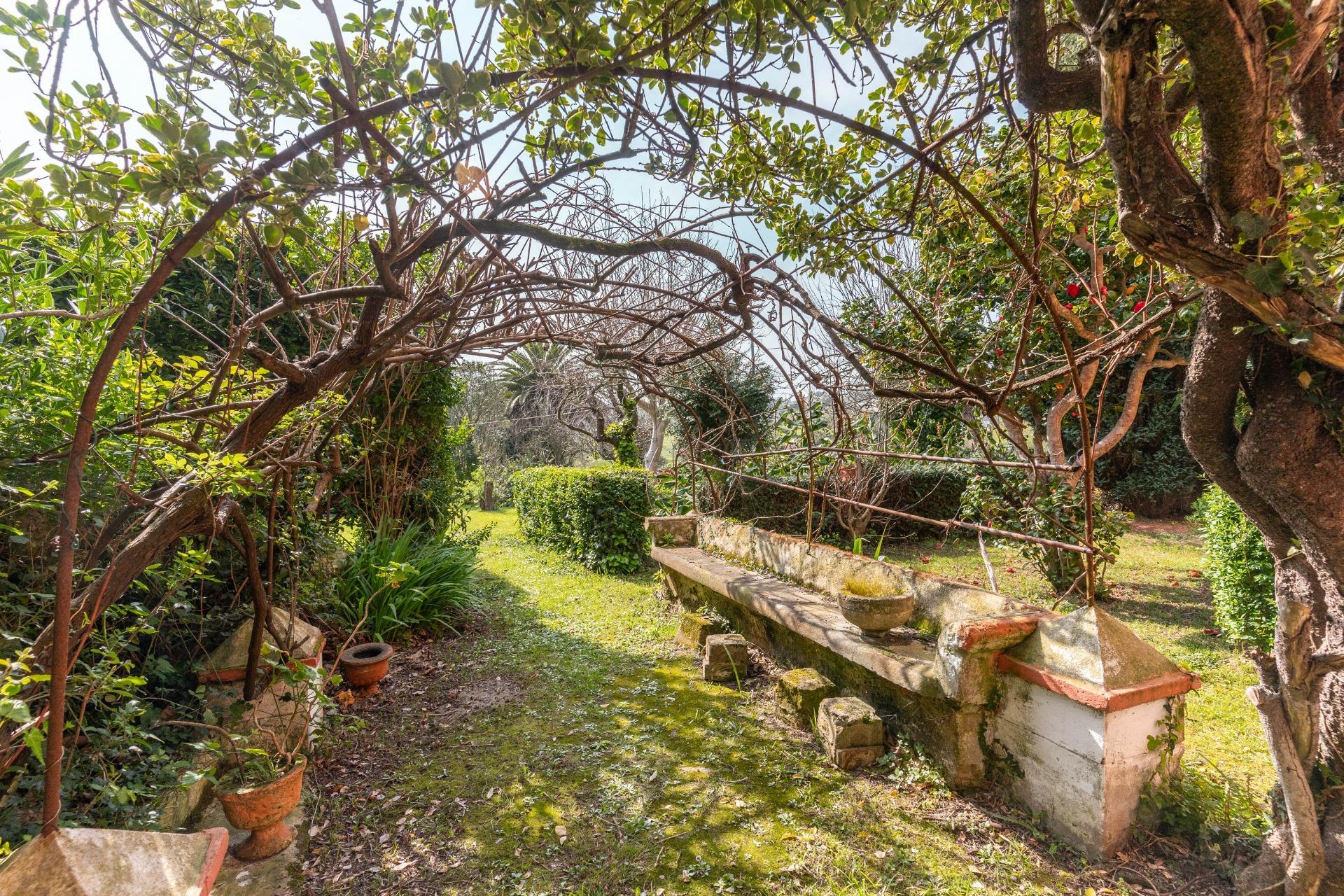 Casas o chalets-Venta-Tapia de Casariego-2201293-Foto-25