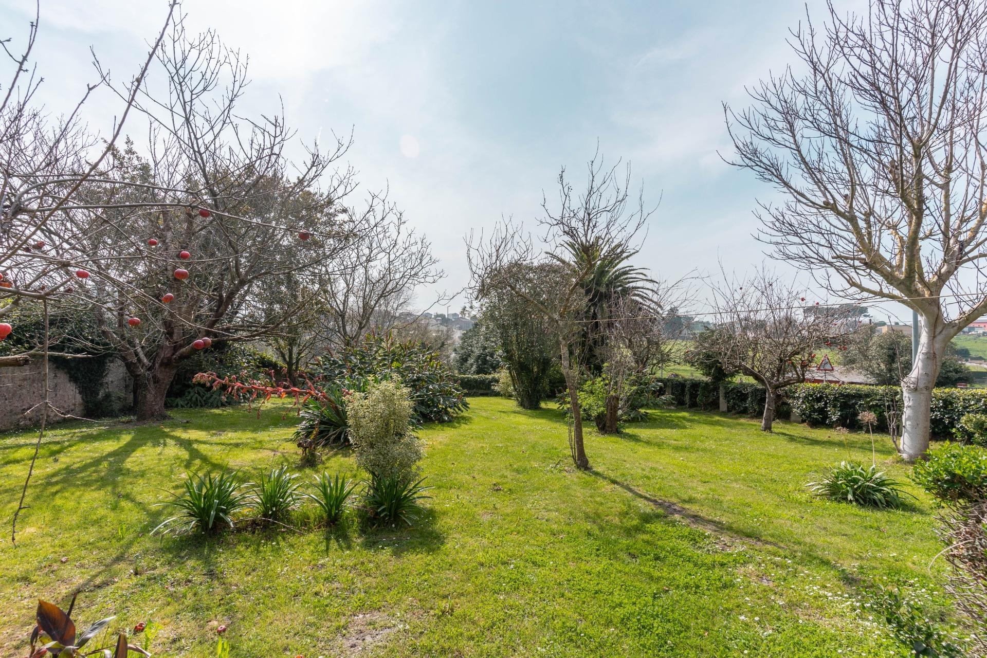 Casas o chalets-Venta-Tapia de Casariego-2201293-Foto-29