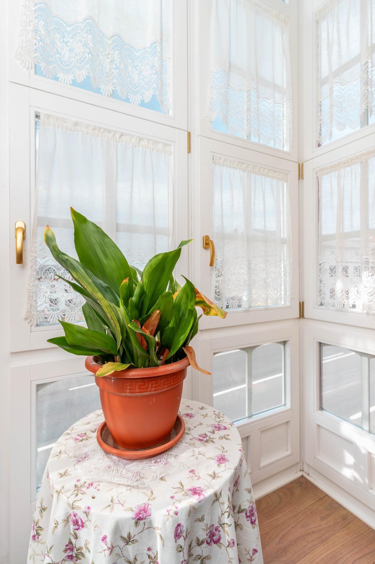 Casas o chalets-Venta-Tapia de Casariego-2201293-Foto-60