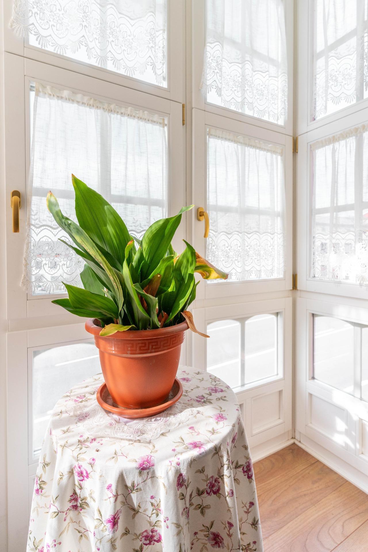 Casas o chalets-Venta-Tapia de Casariego-2201293-Foto-61