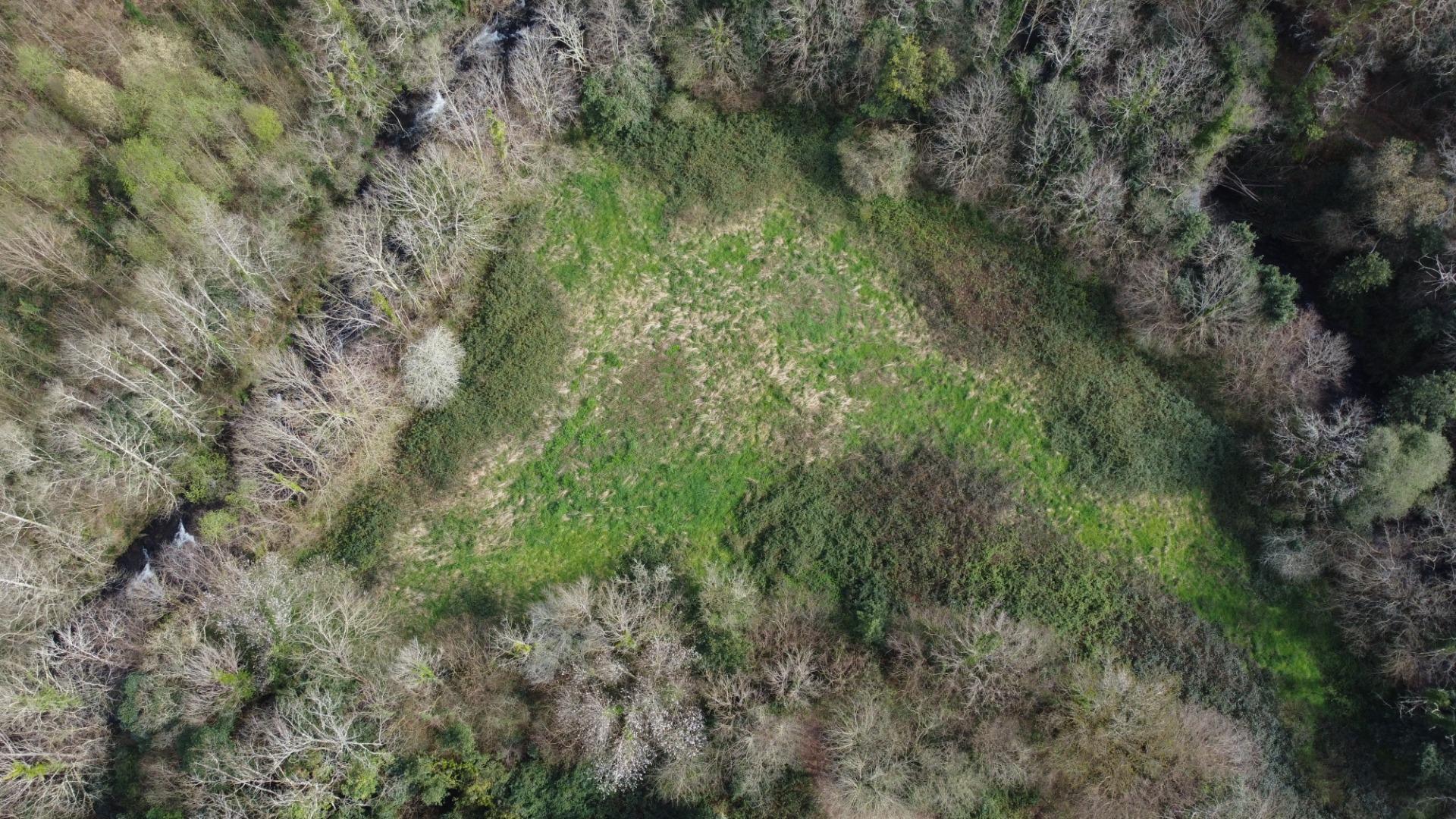 Casas o chalets-Venta-Castropol-2201299-Foto-29