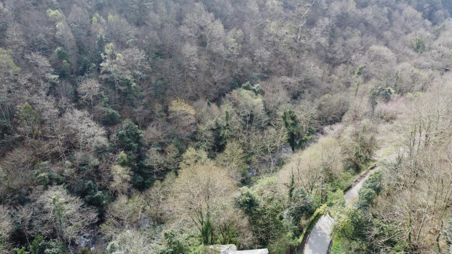 Casas o chalets-Venta-Castropol-2201299-Foto-31