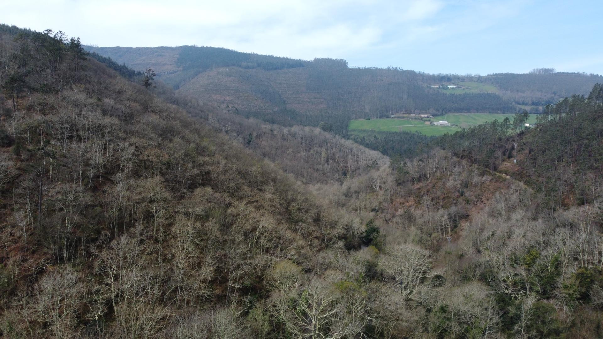 Casas o chalets-Venta-Castropol-2201299-Foto-35