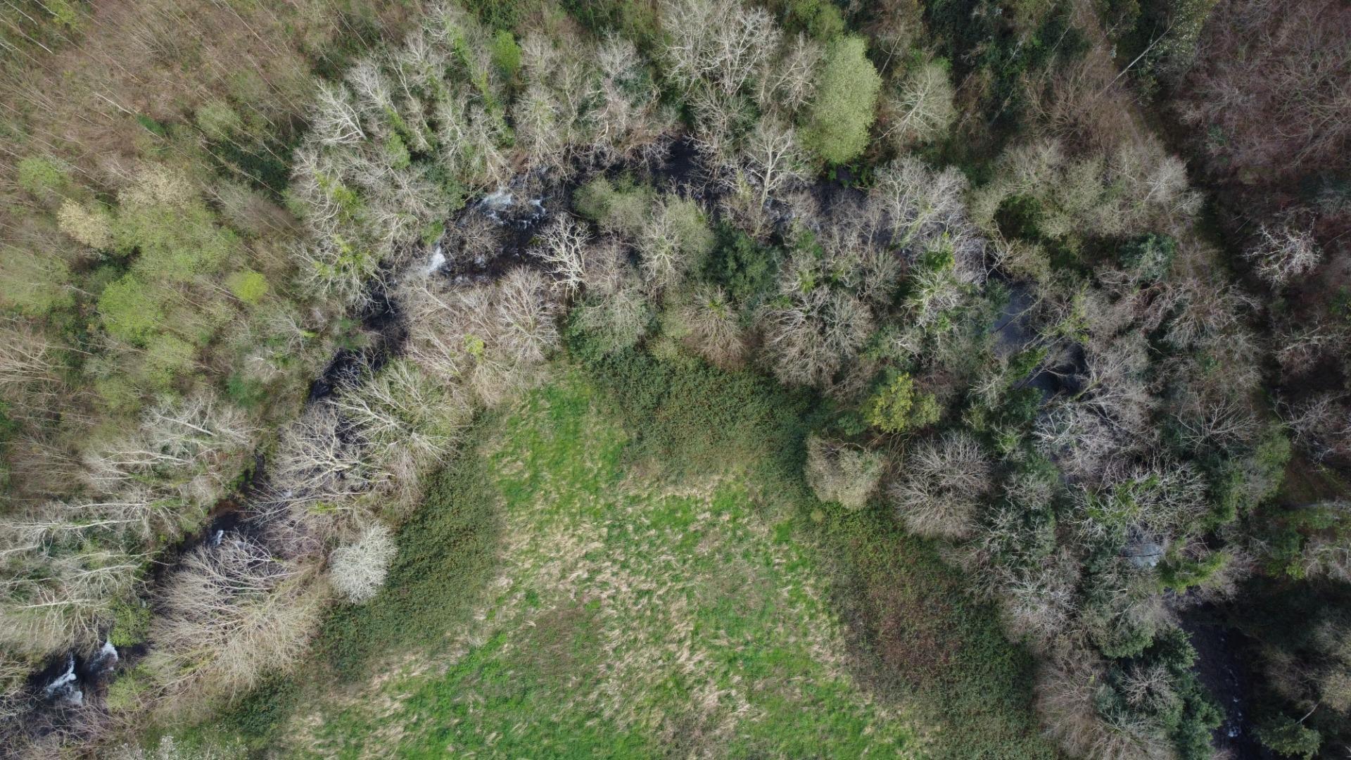 Casas o chalets-Venta-Castropol-2201299-Foto-36