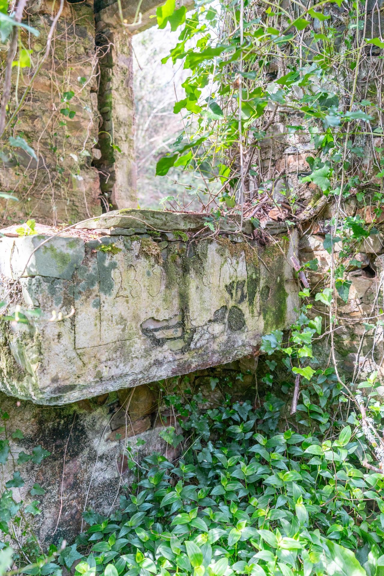 Casas o chalets-Venta-Castropol-2201299-Foto-89