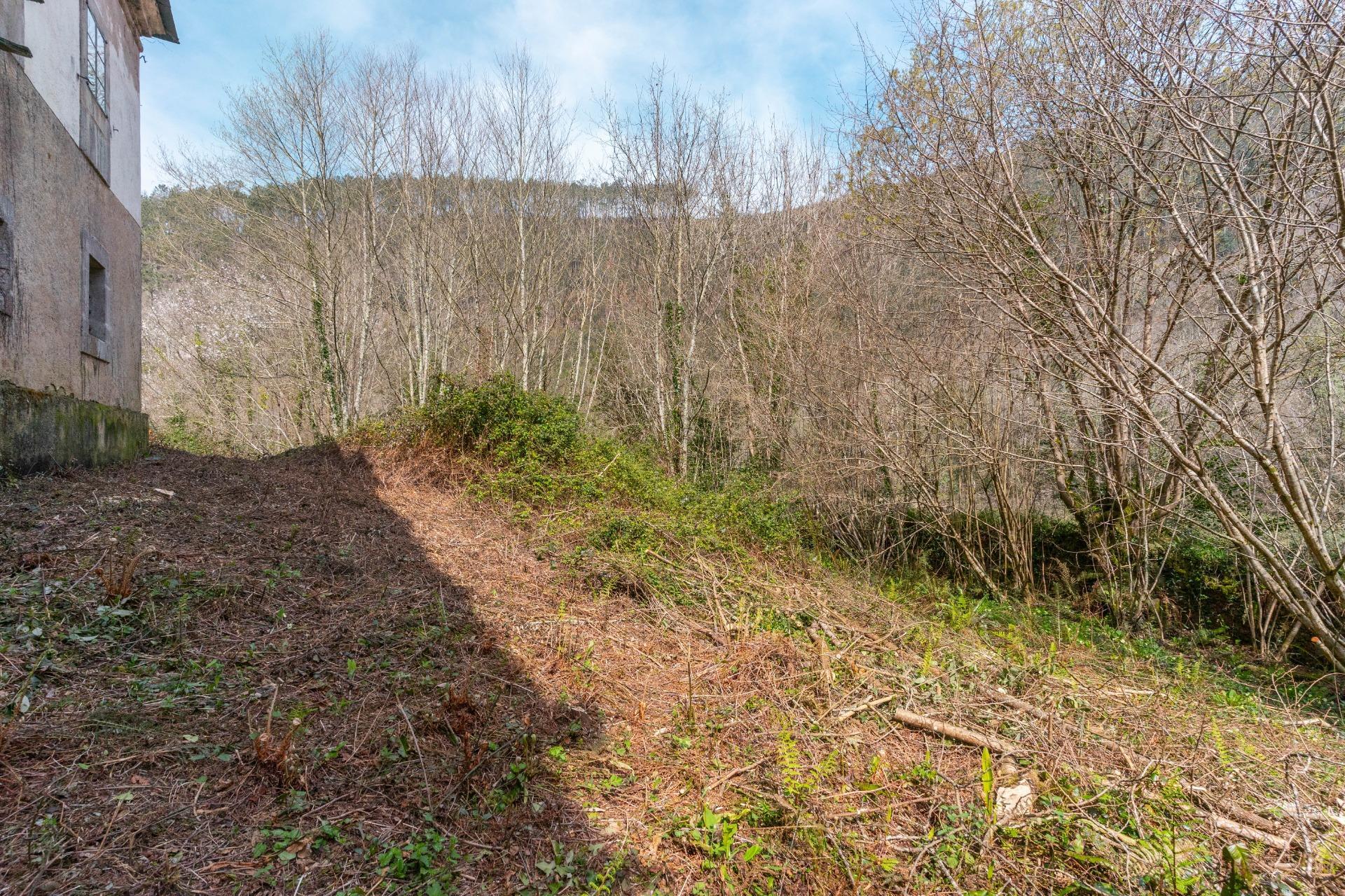 Casas o chalets-Venta-Castropol-2201299-Foto-93