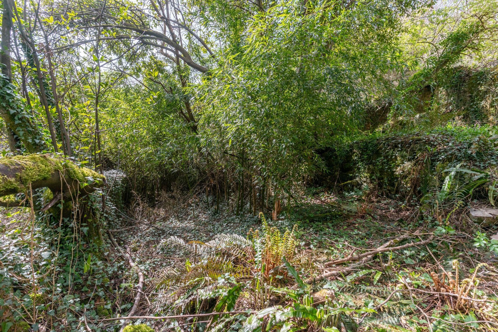 Casas o chalets-Venta-Castropol-2201299-Foto-90