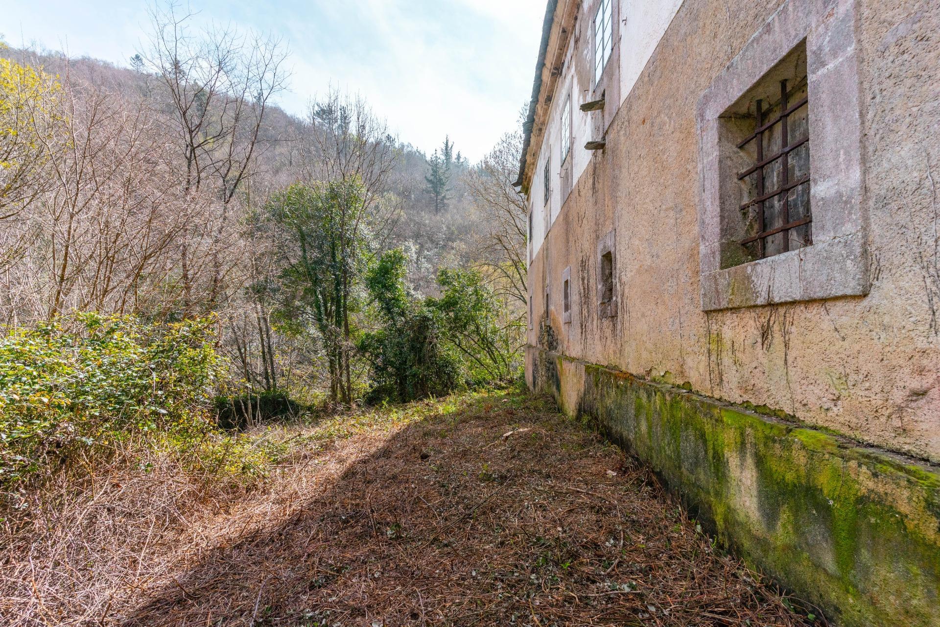 Casas o chalets-Venta-Castropol-2201299-Foto-95