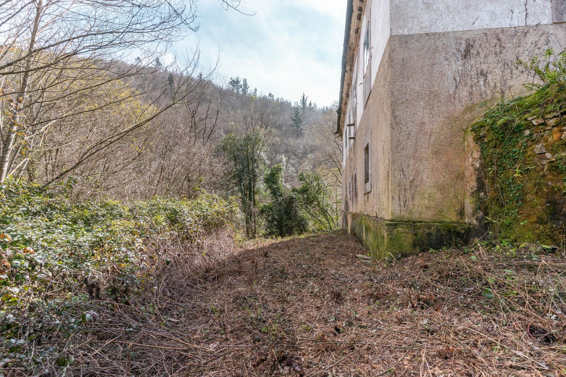 Casas o chalets-Venta-Castropol-2201299-Foto-96