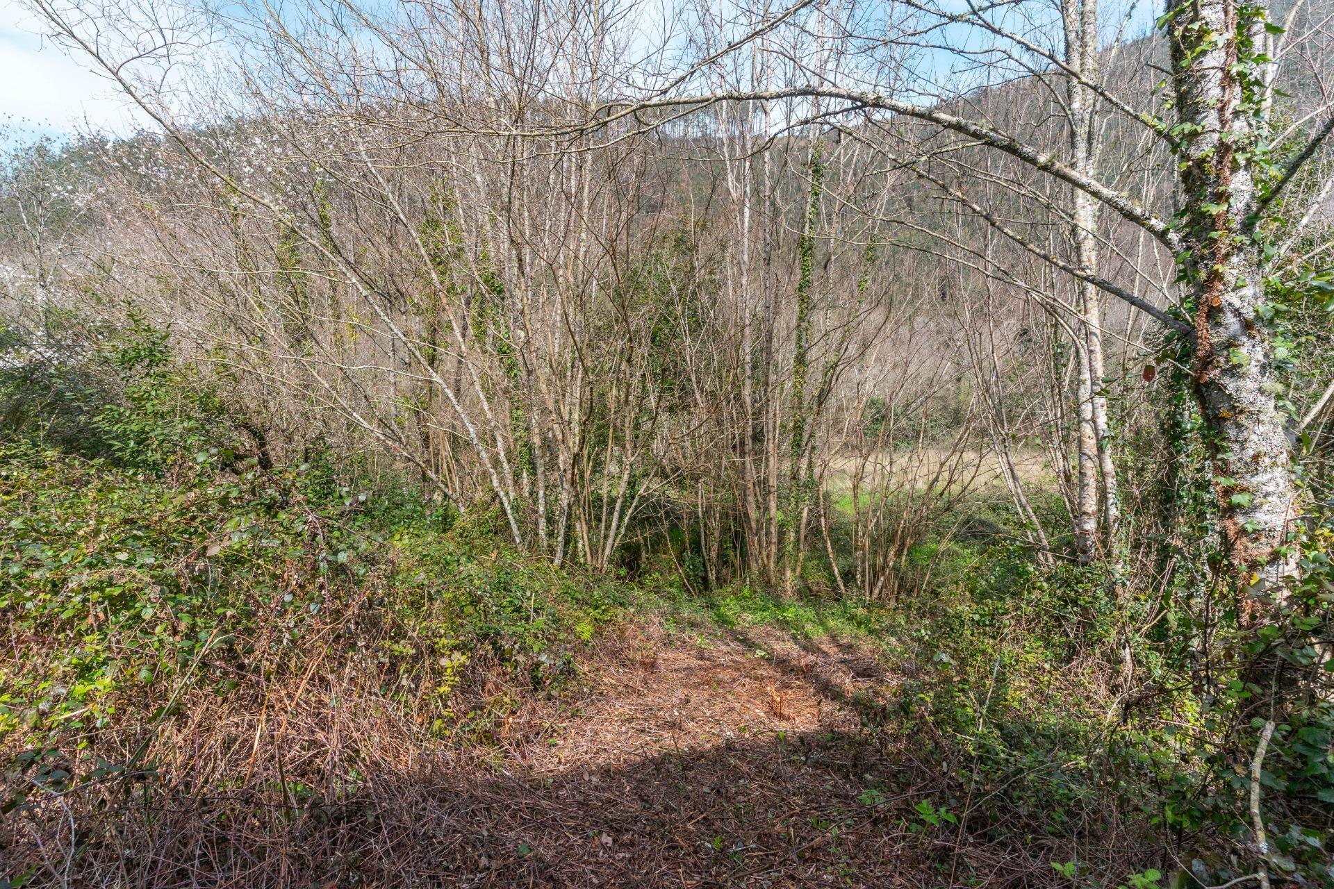 Casas o chalets-Venta-Castropol-2201299-Foto-97