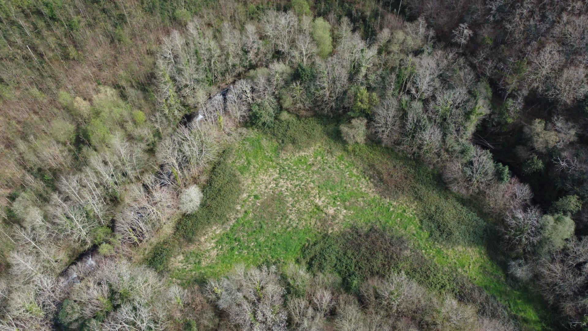 Casas o chalets-Venta-Castropol-2201299-Foto-98