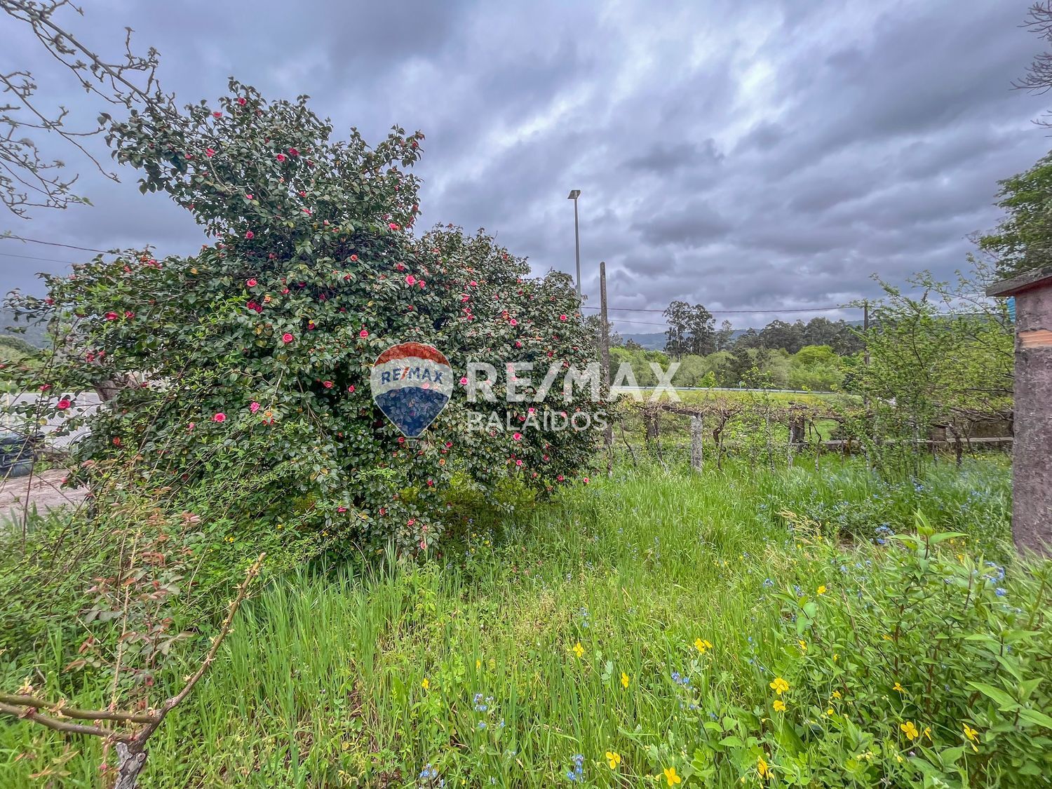 Casas o chalets-Venta-Arbo-2200663-Foto-3