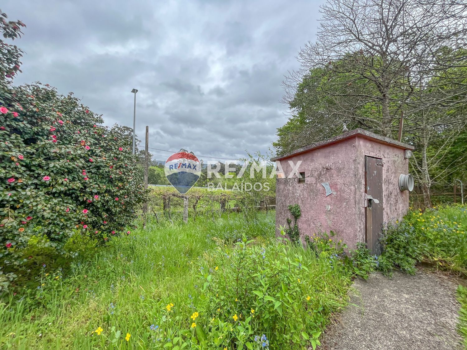 Casas o chalets-Venta-Arbo-2200663-Foto-11