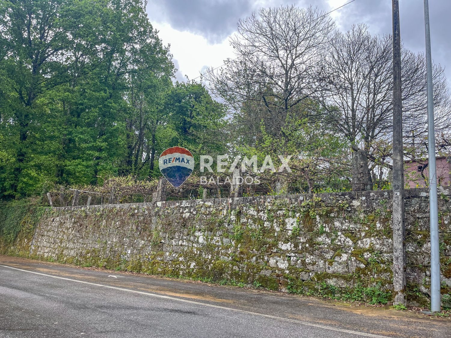 Casas o chalets-Venta-Arbo-2200663-Foto-31